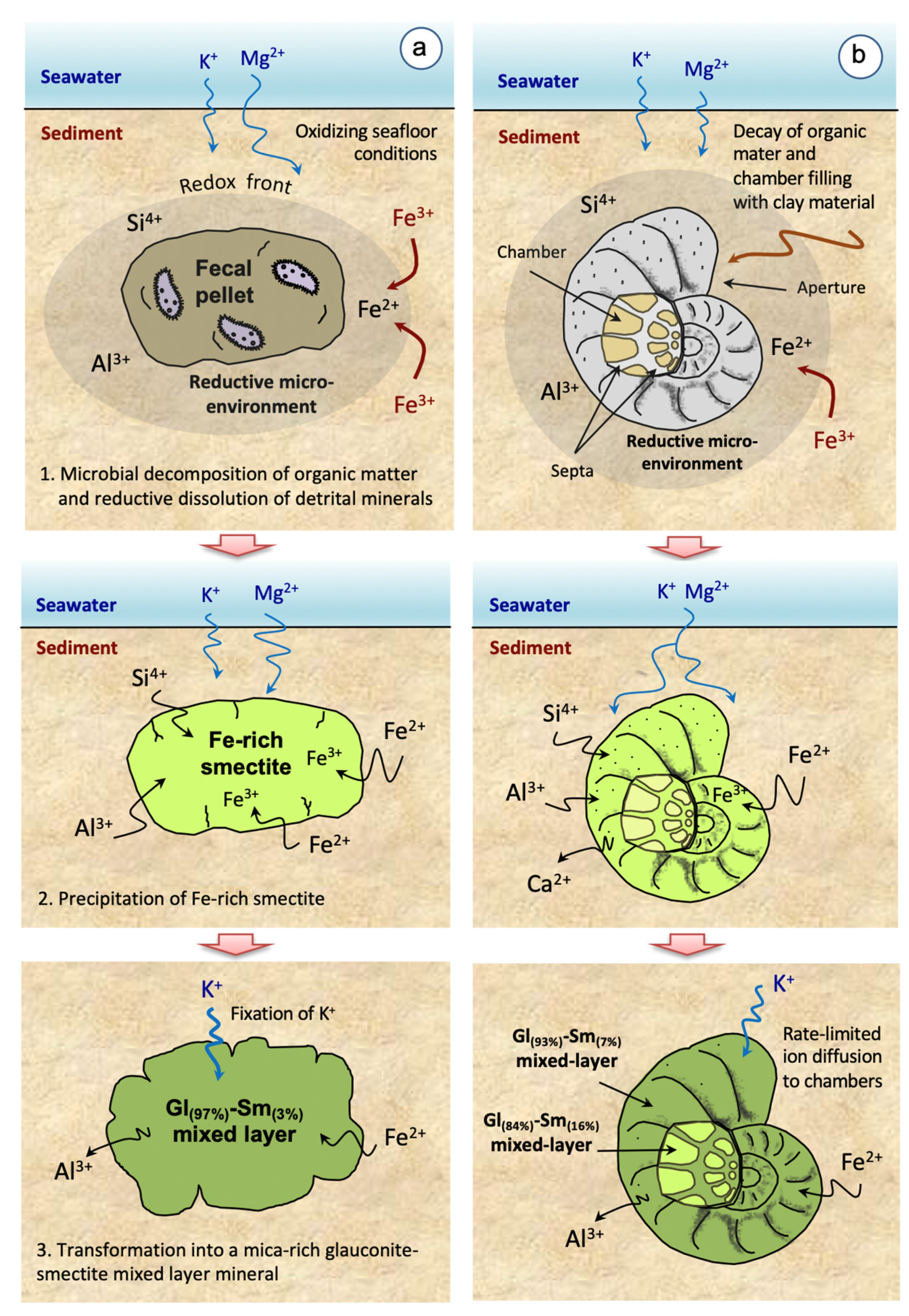 Minerals 11 00578 g010