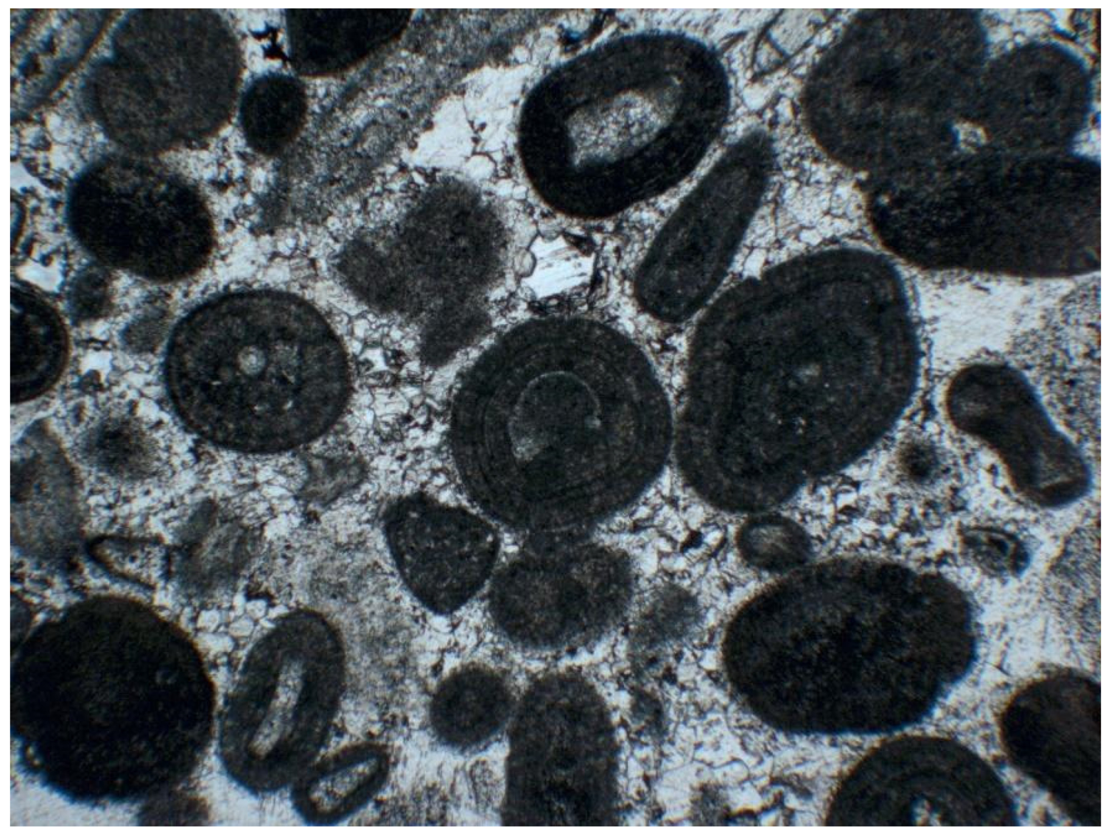 Minerals 11 00605 g002