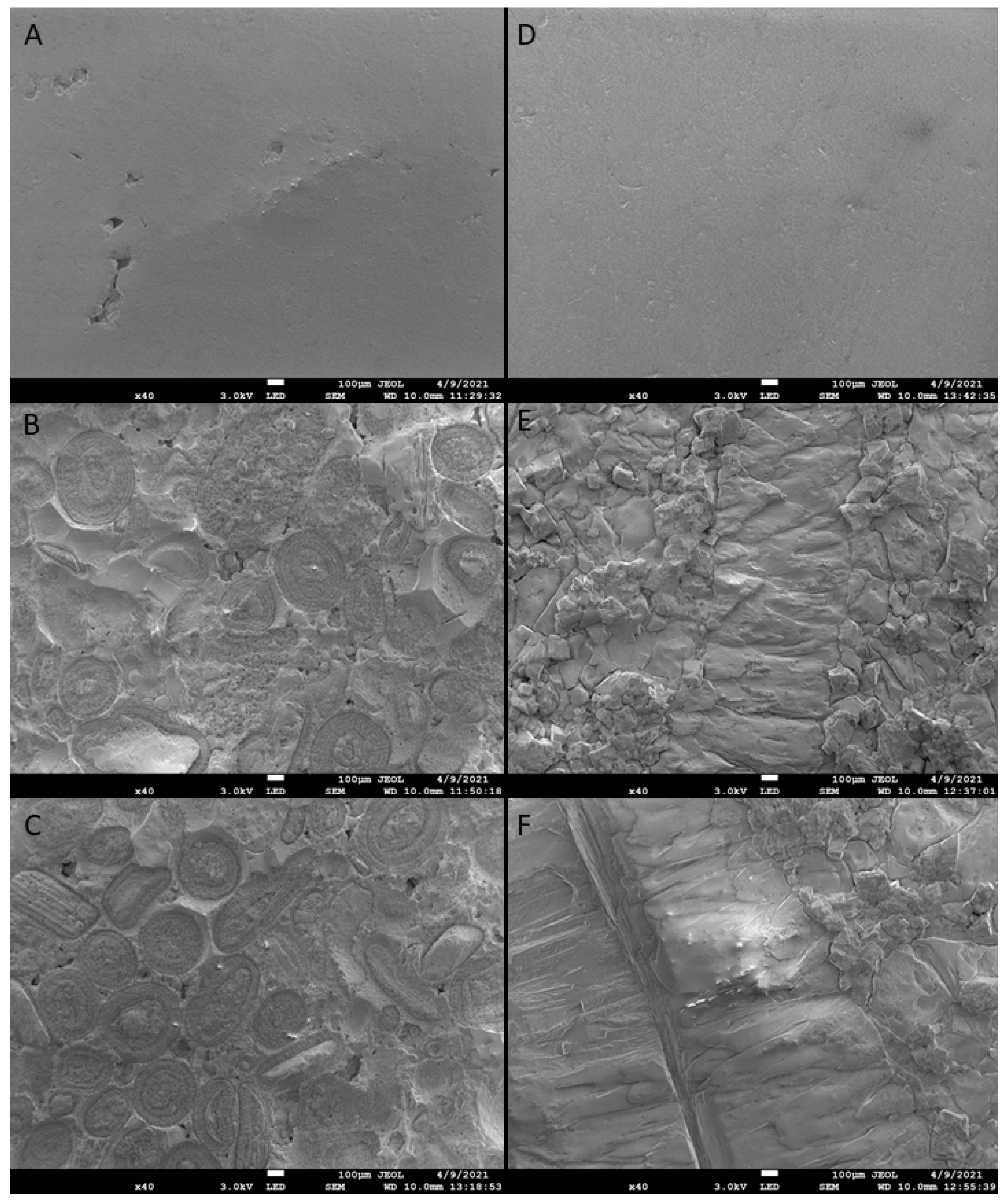 Minerals 11 00605 g005