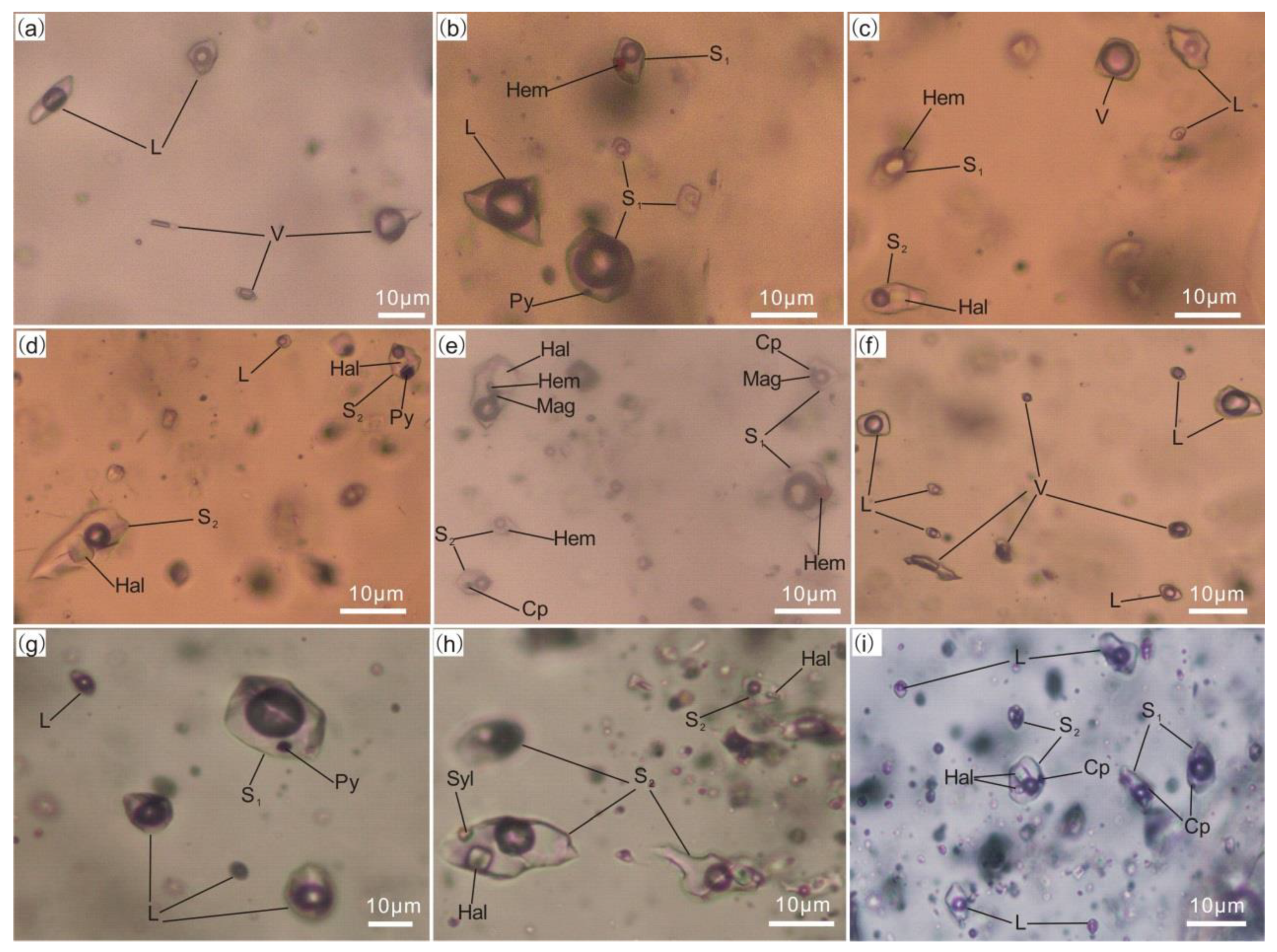 Minerals 11 00609 g006 Minerals 11 00609 g006