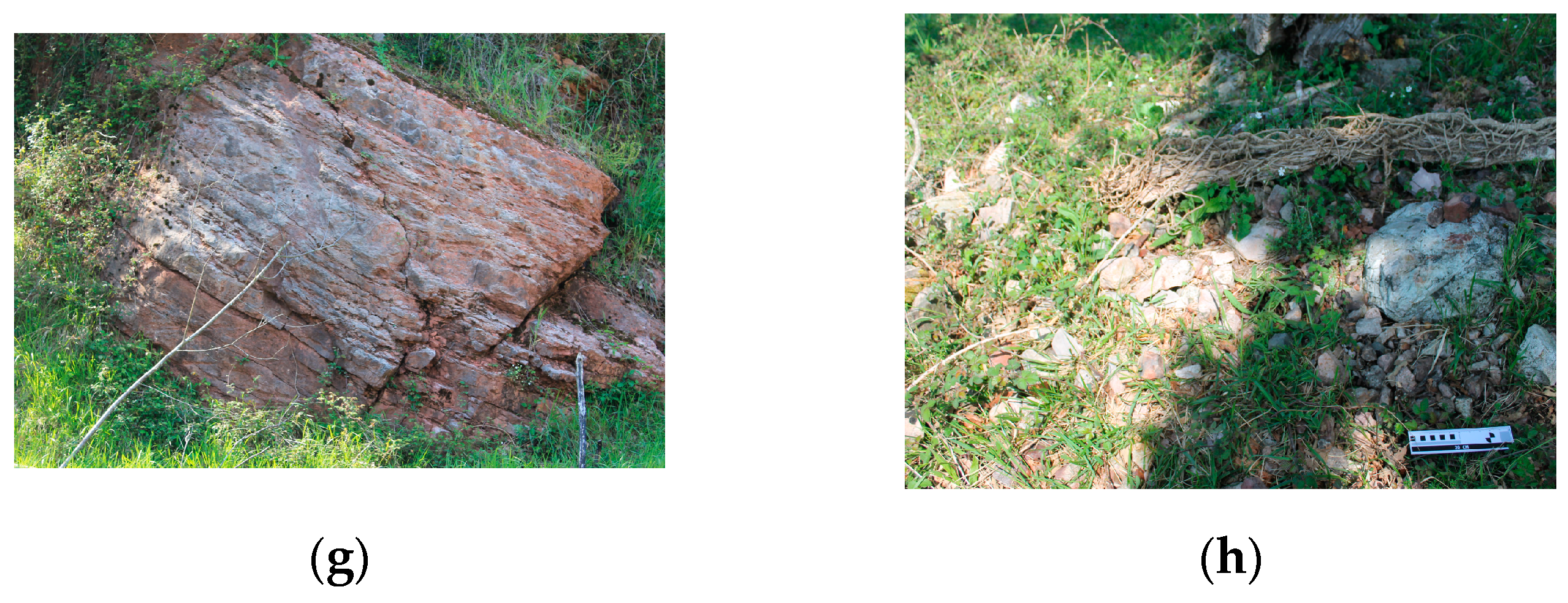 Minerals 11 00611 g003b Minerals 11 00611 g003b