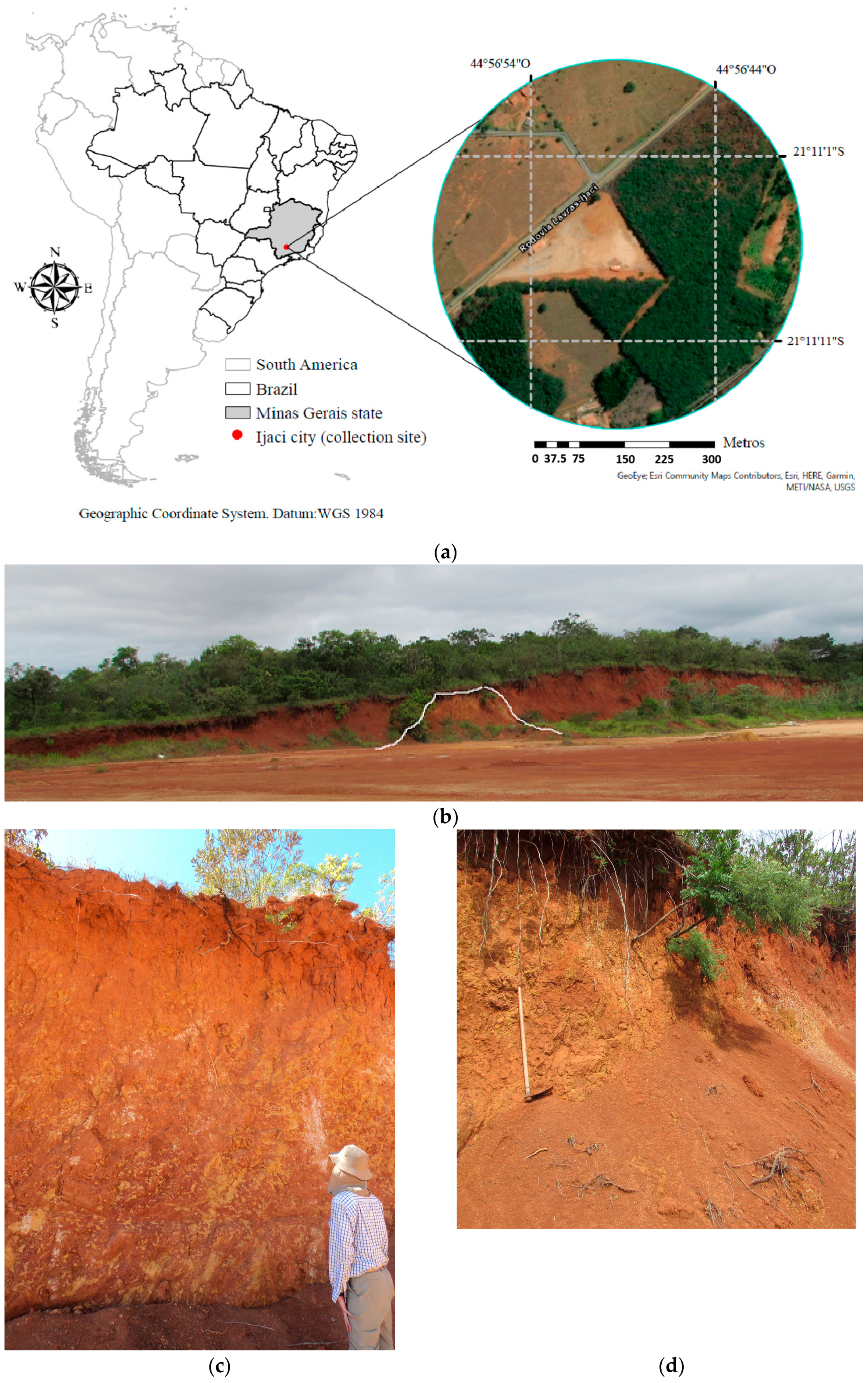 Minerals 11 00616 g001 Minerals 11 00616 g001