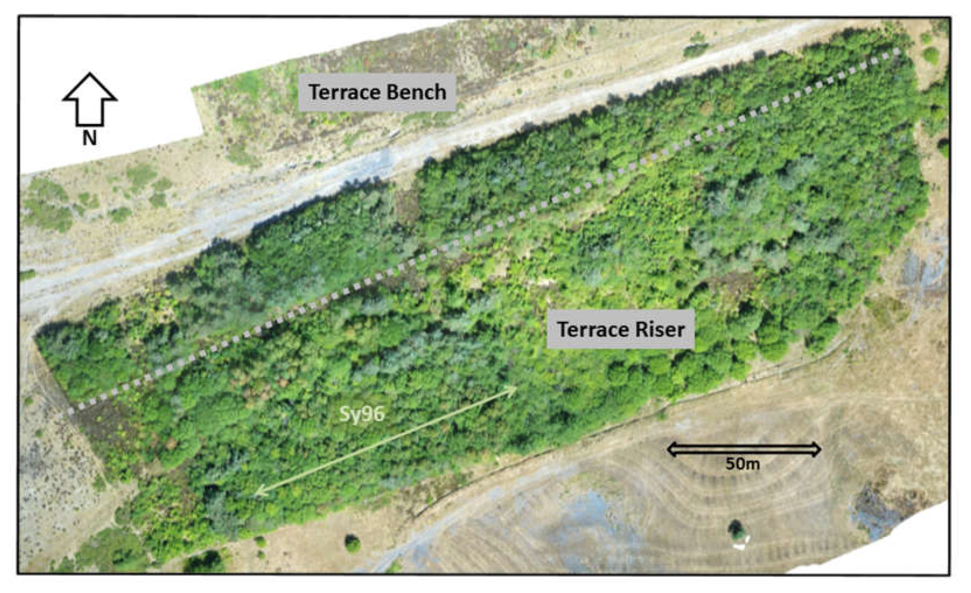 Minerals 11 00624 g002 Minerals 11 00624 g002