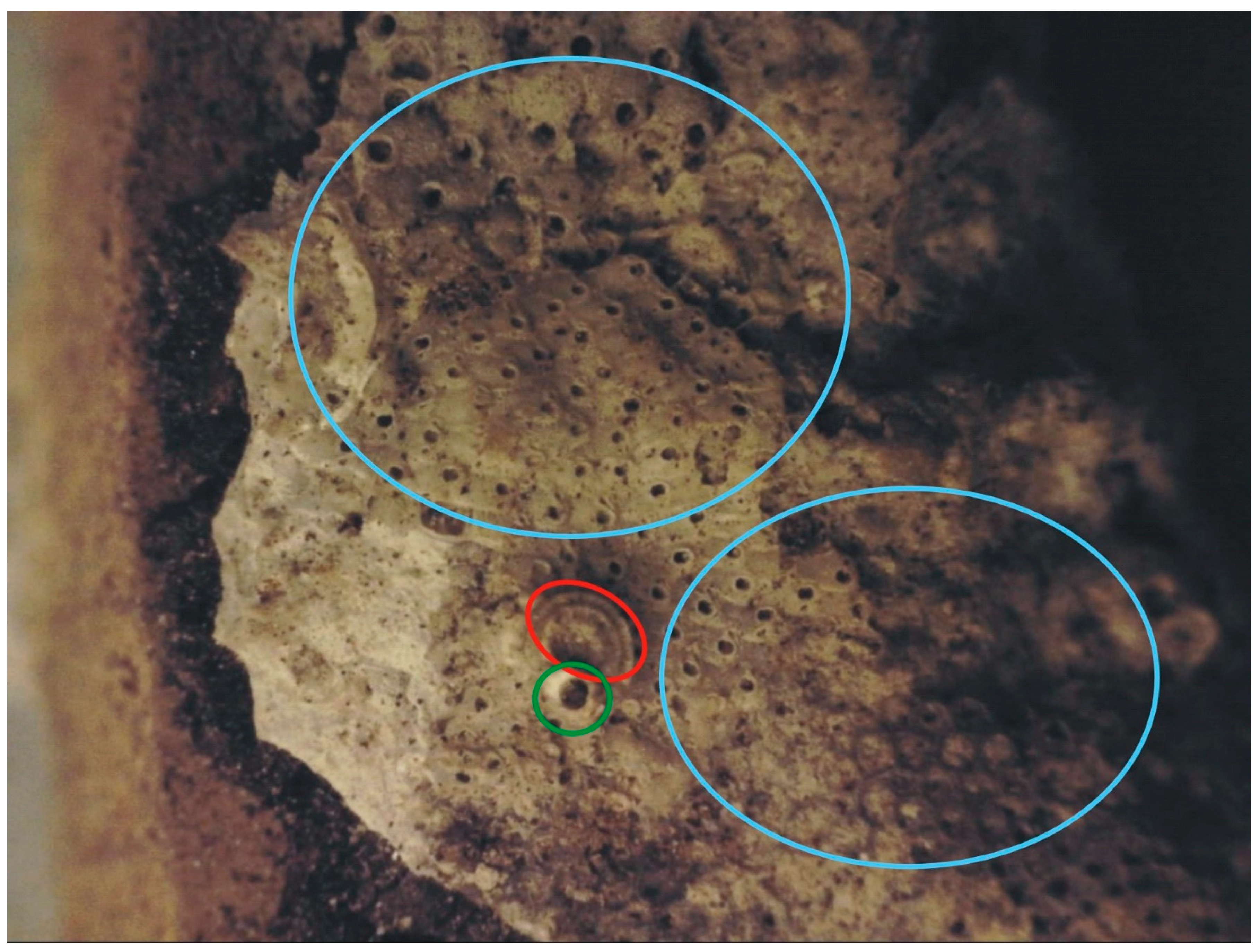 Minerals 11 00625 g002