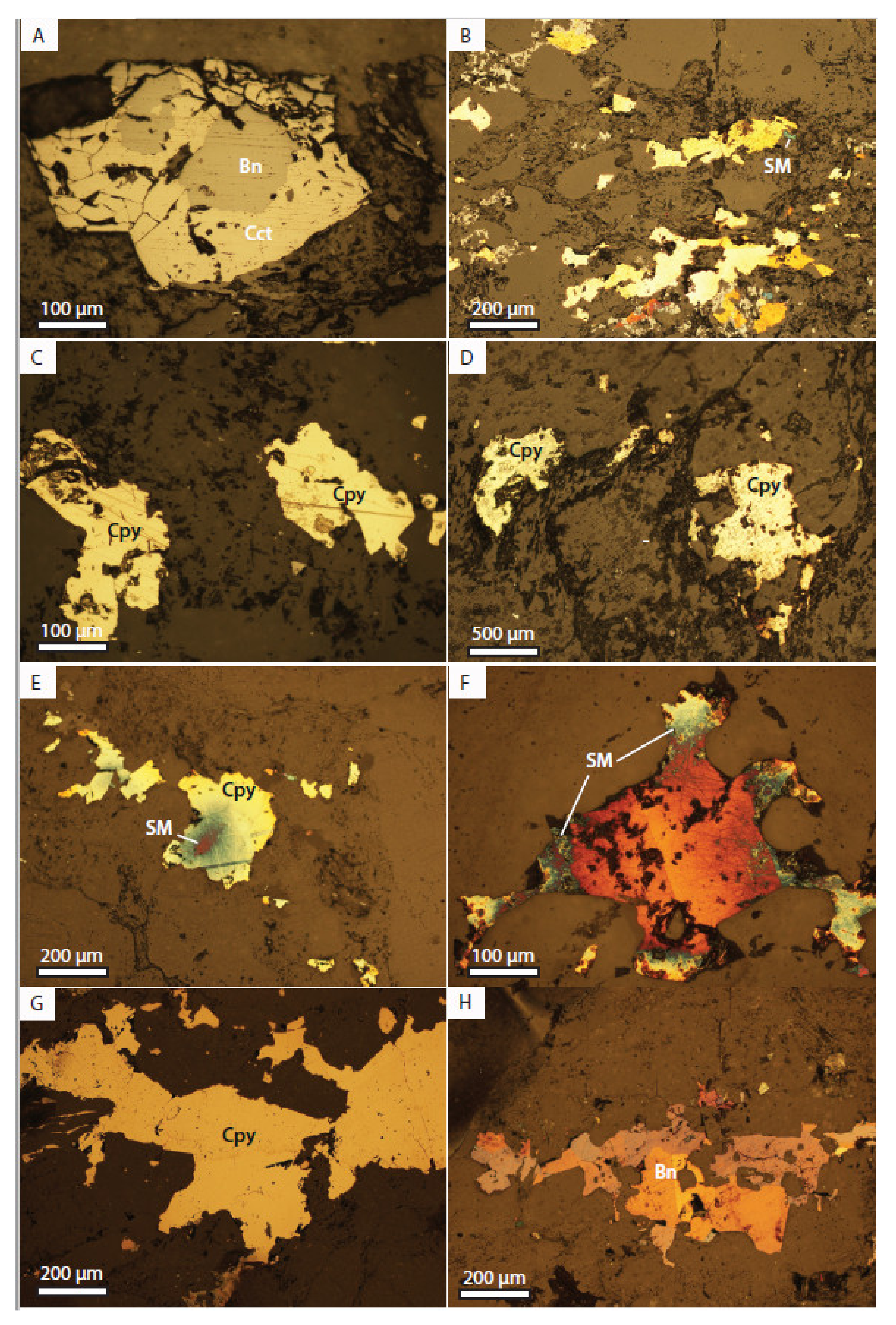 Minerals 11 00627 g005 Minerals 11 00627 g005