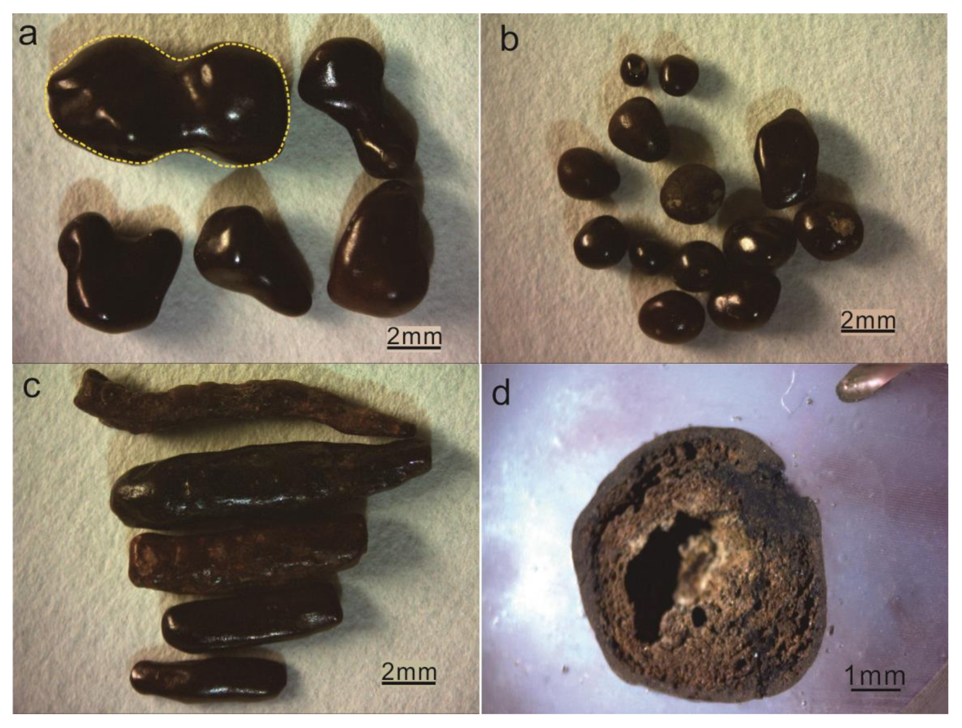 Minerals 11 00632 g004