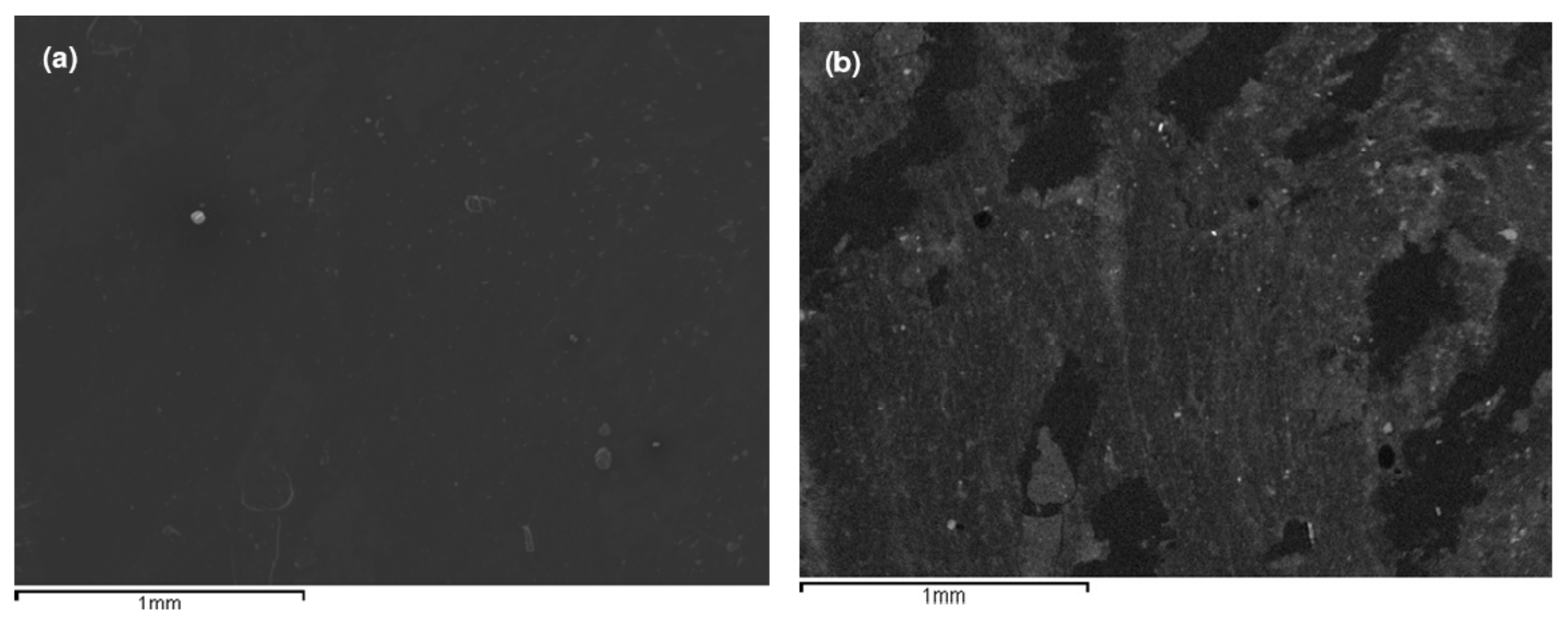 Minerals 11 00637 g002 Minerals 11 00637 g002