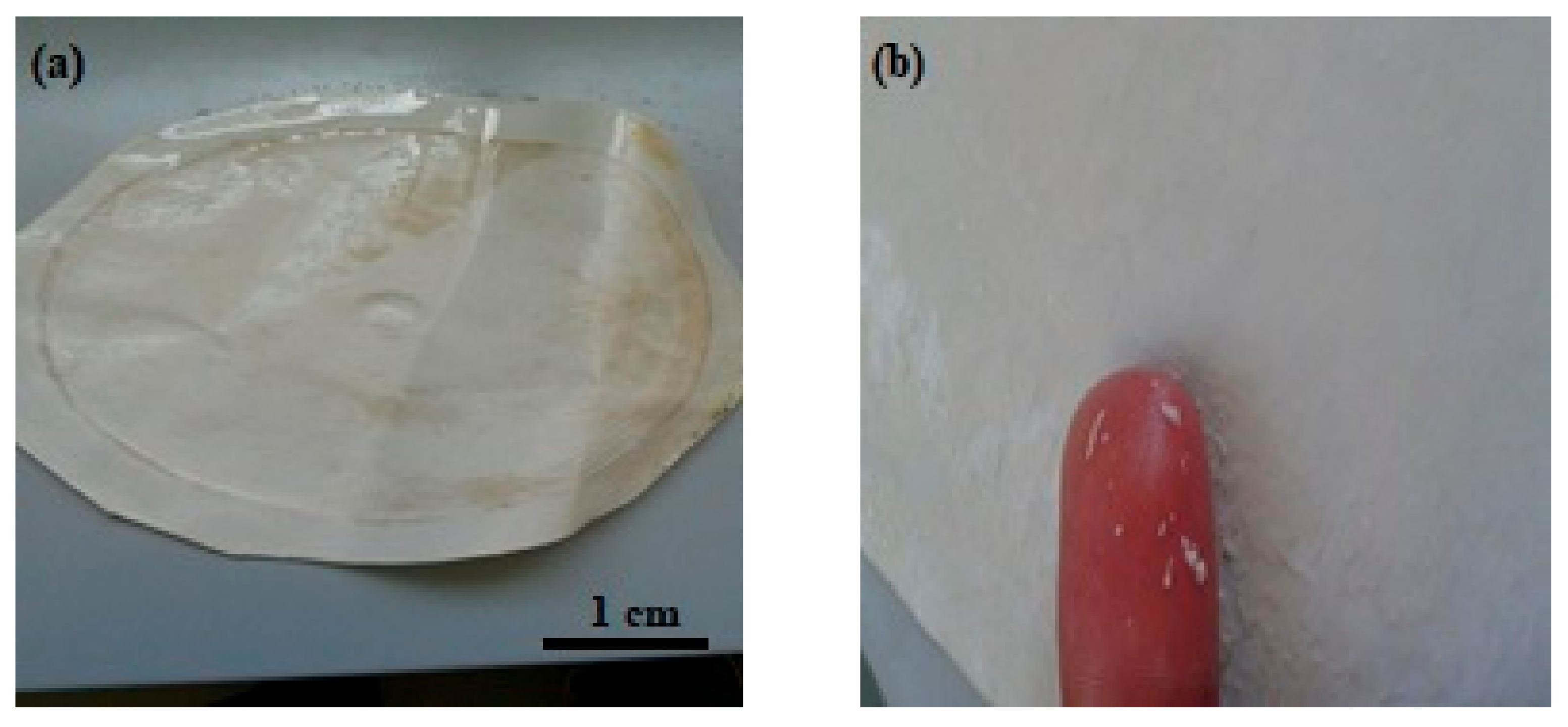 Minerals 11 00637 g004 Minerals 11 00637 g004