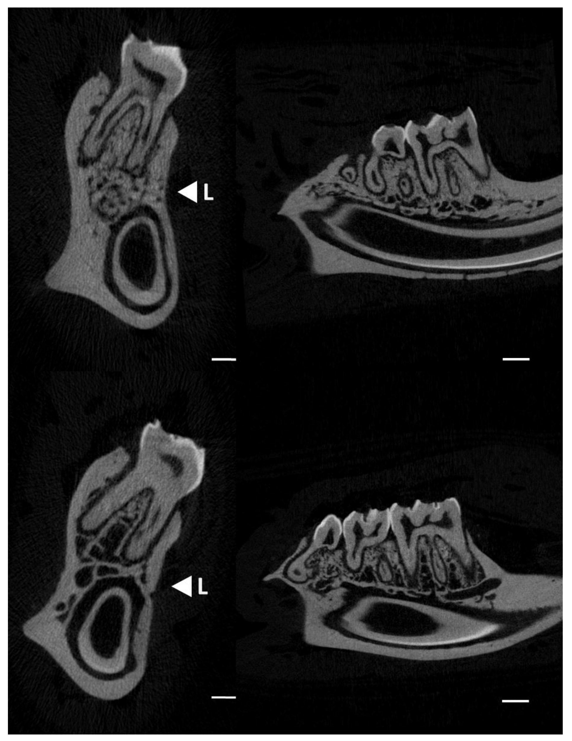 Minerals 11 00642 g002