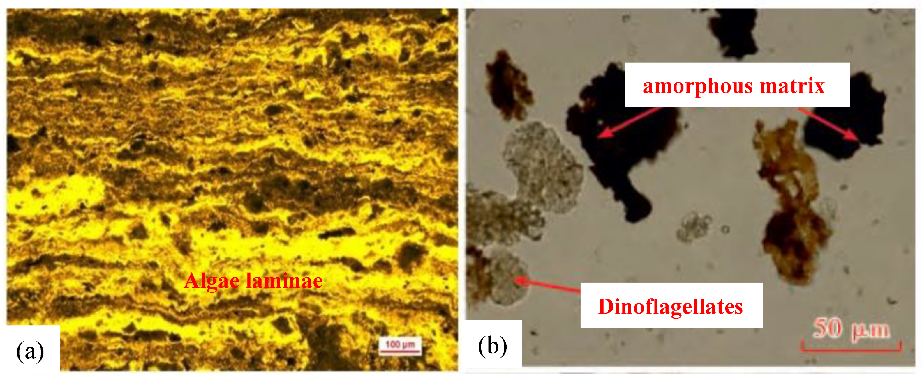 Minerals 11 00644 g003