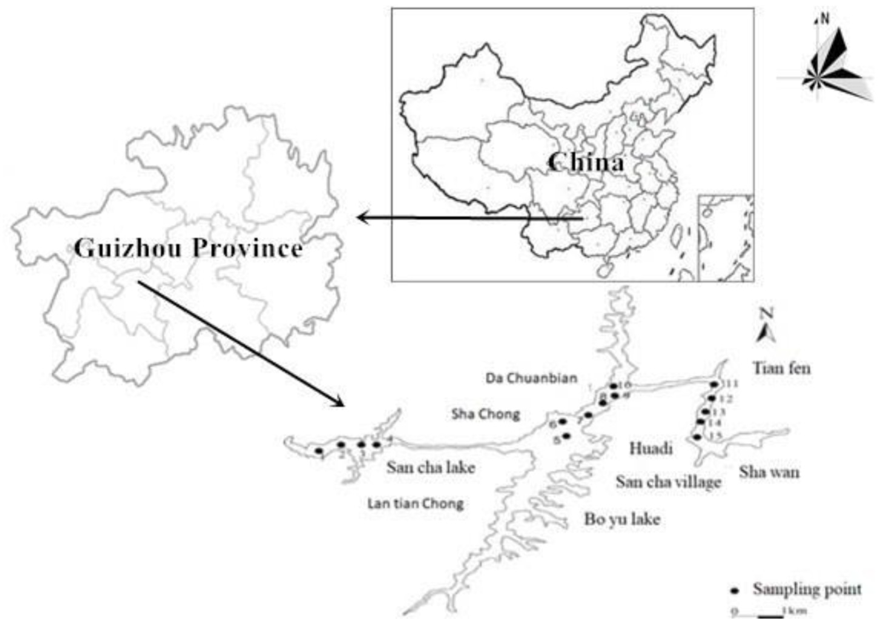 Minerals 11 00650 g001 Minerals 11 00650 g001