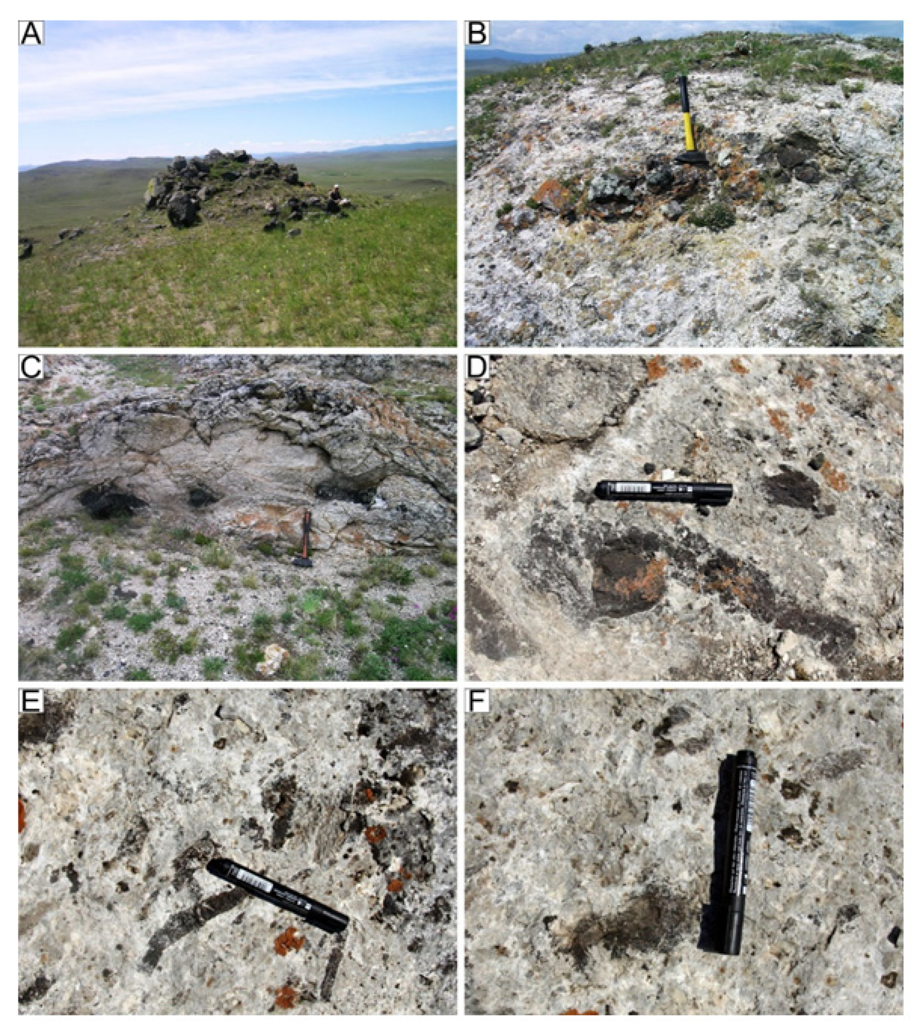 Minerals 11 00654 g005 Minerals 11 00654 g005