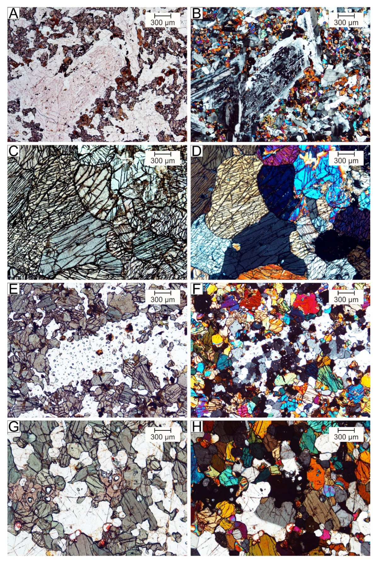 Minerals 11 00654 g007 Minerals 11 00654 g007