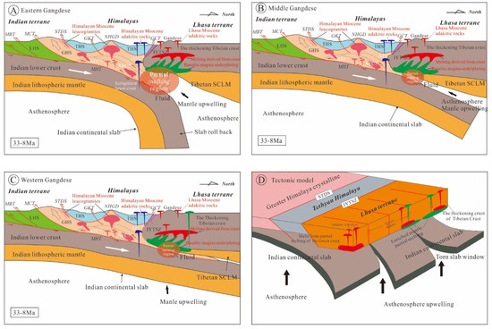 Petrogenesis and Geodynamic Implications of Miocene Felsic