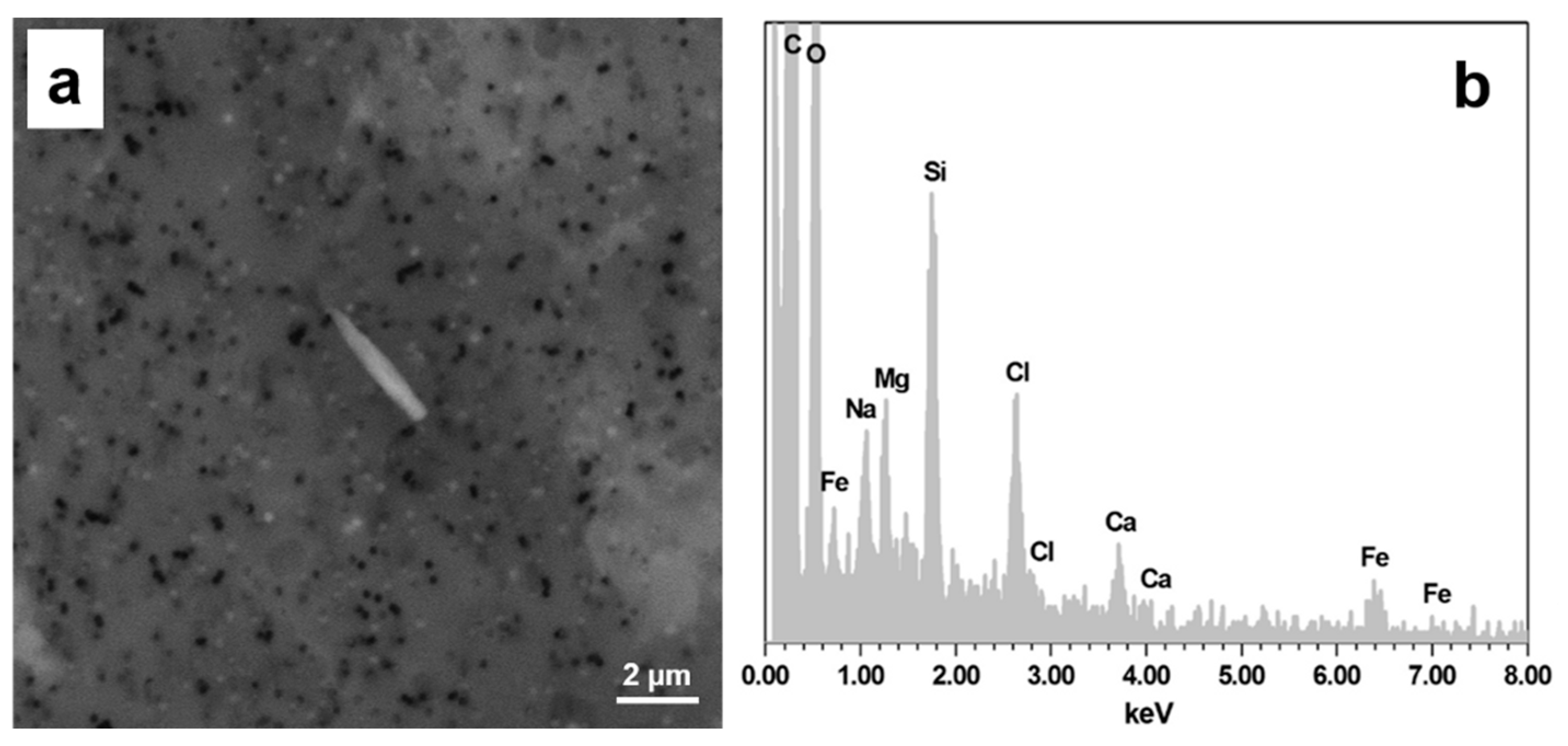 Minerals 11 00658 g002