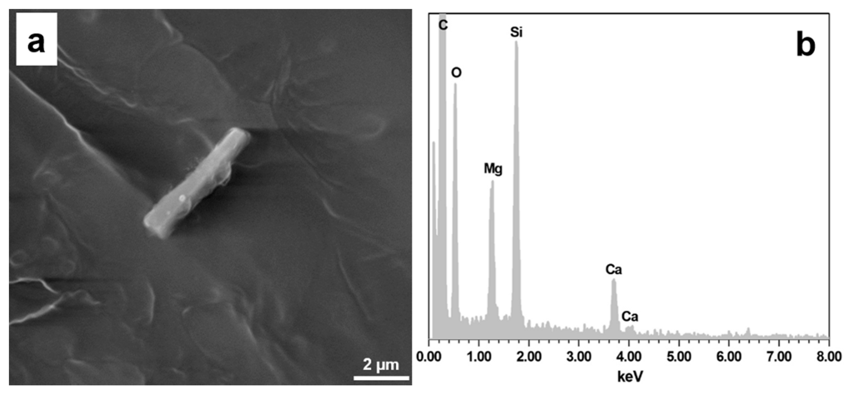 Minerals 11 00658 g006