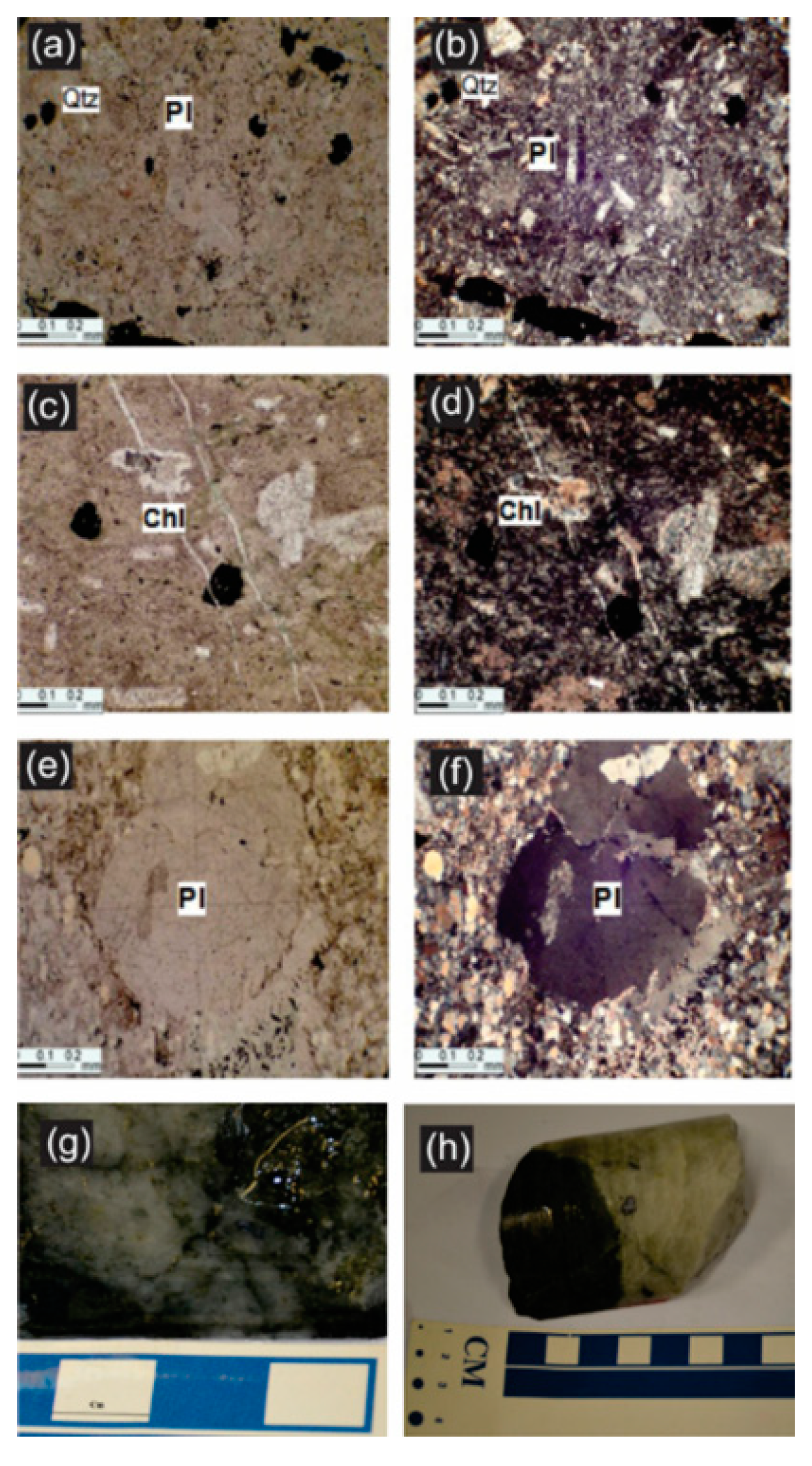 Minerals 11 00660 g005