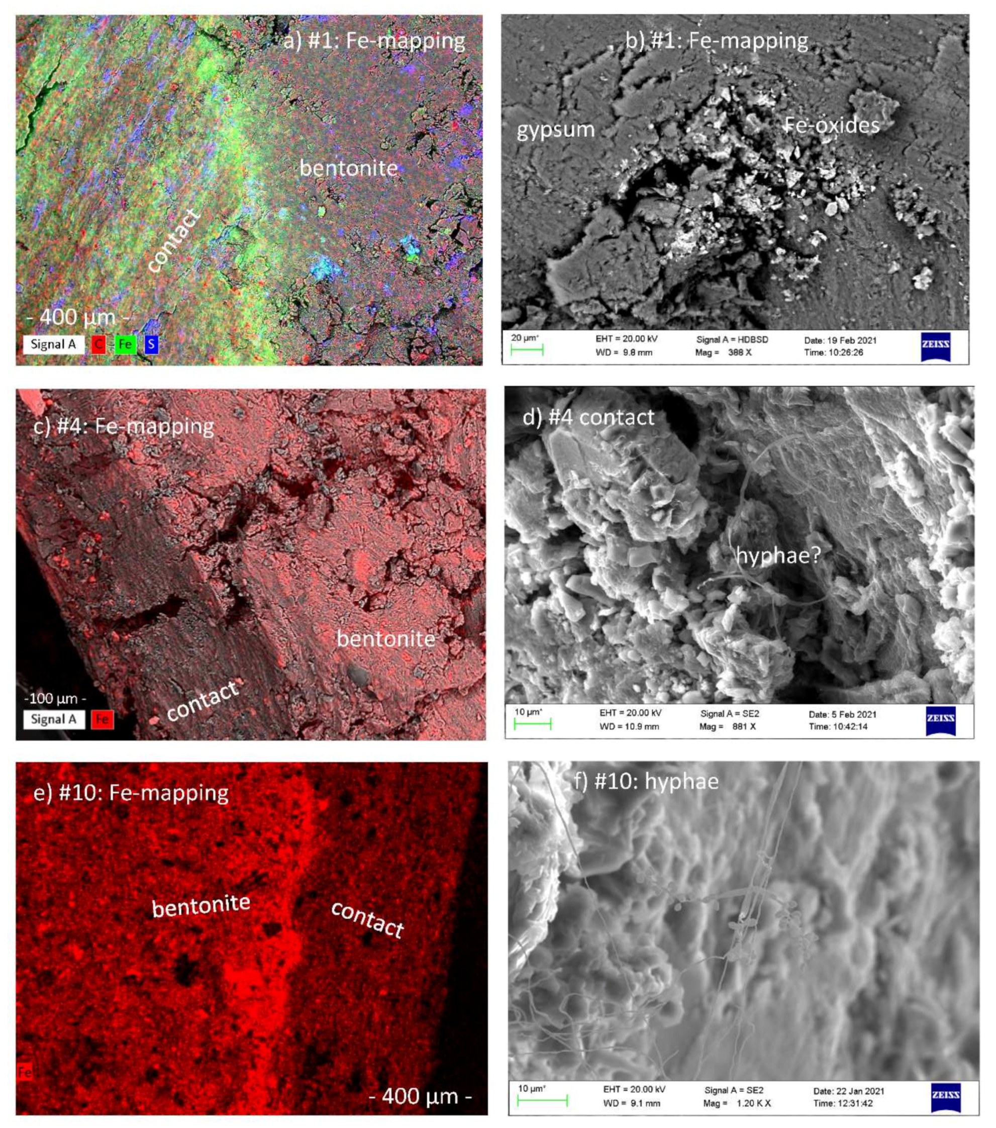 Minerals 11 00669 g008 550