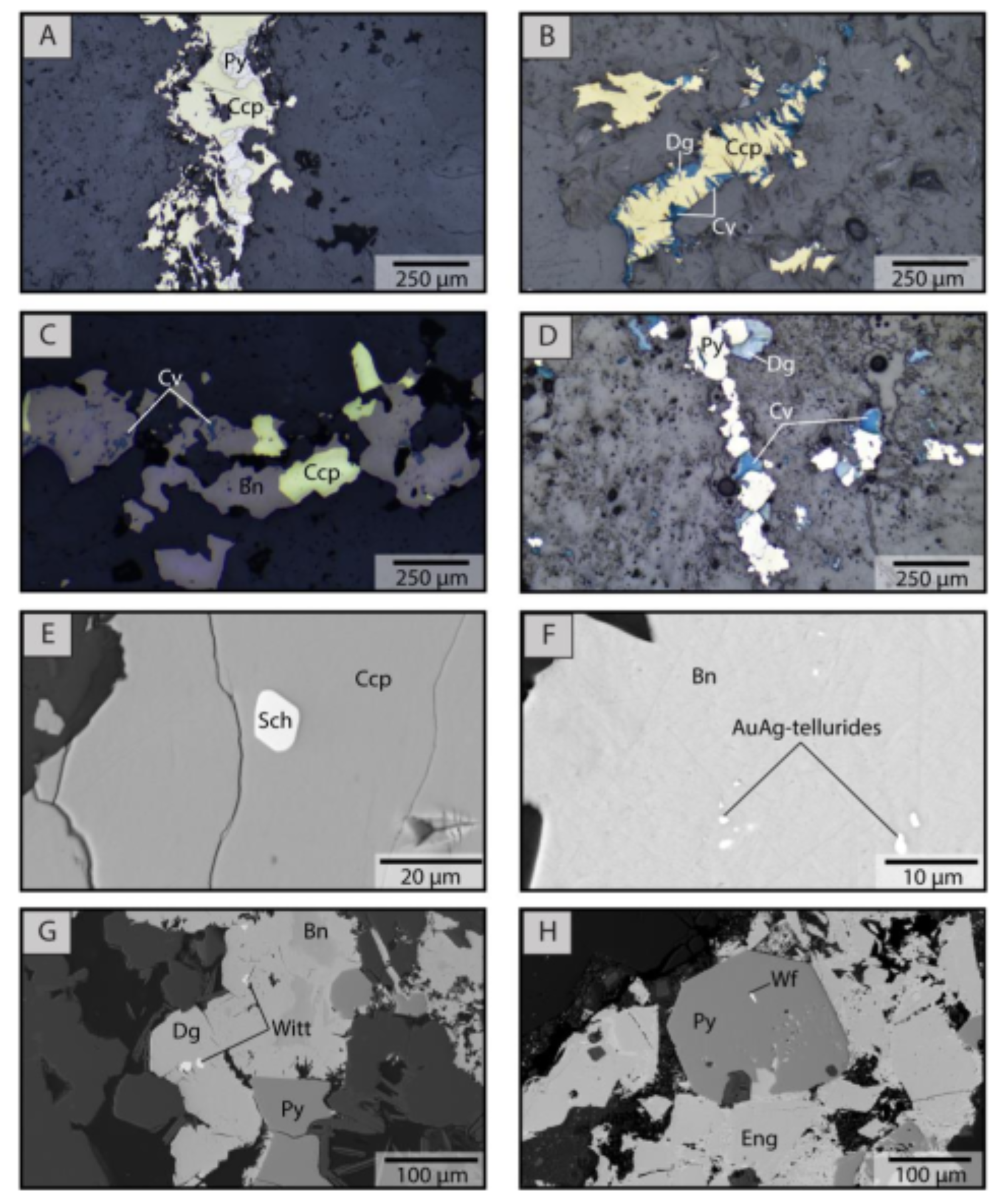 Minerals 11 00671 g006 Minerals 11 00671 g006