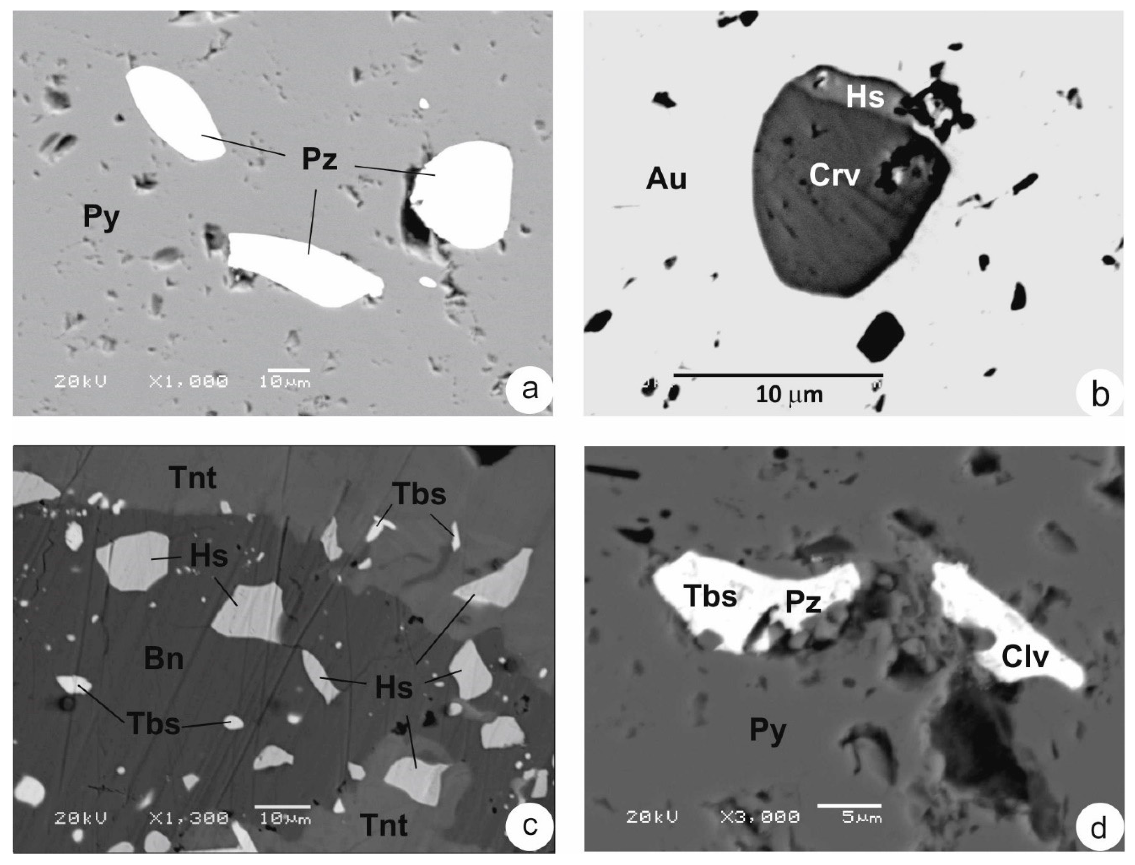 Minerals 11 00698 g002 550
