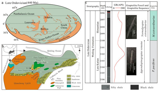 DRIVE 1993～2009 -GLAY complete BEST Geochemical Characteristics of Late Ordovician Shales in the