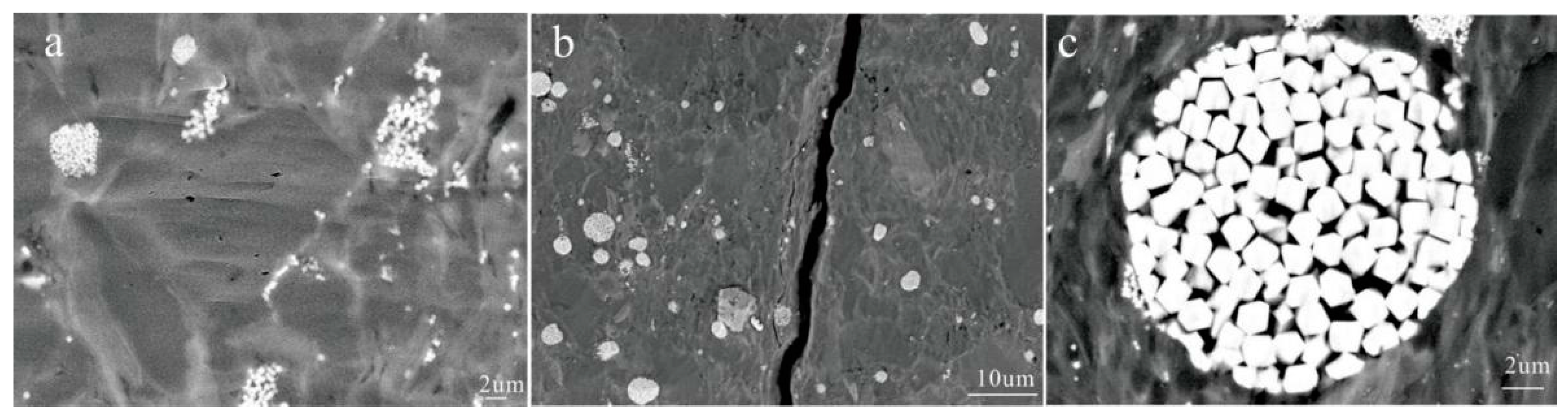 Minerals 11 00710 g005
