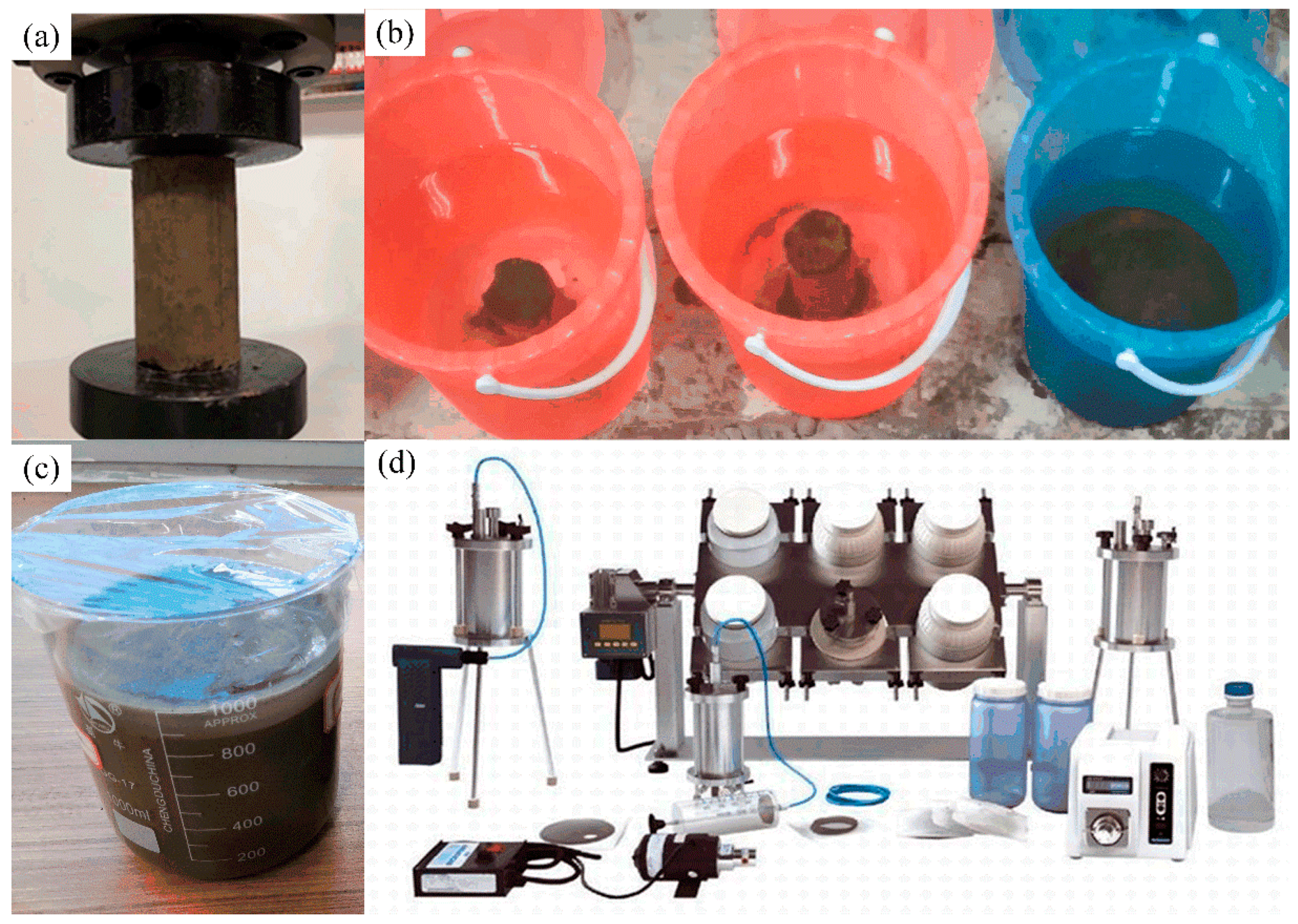 Minerals 11 00722 g002