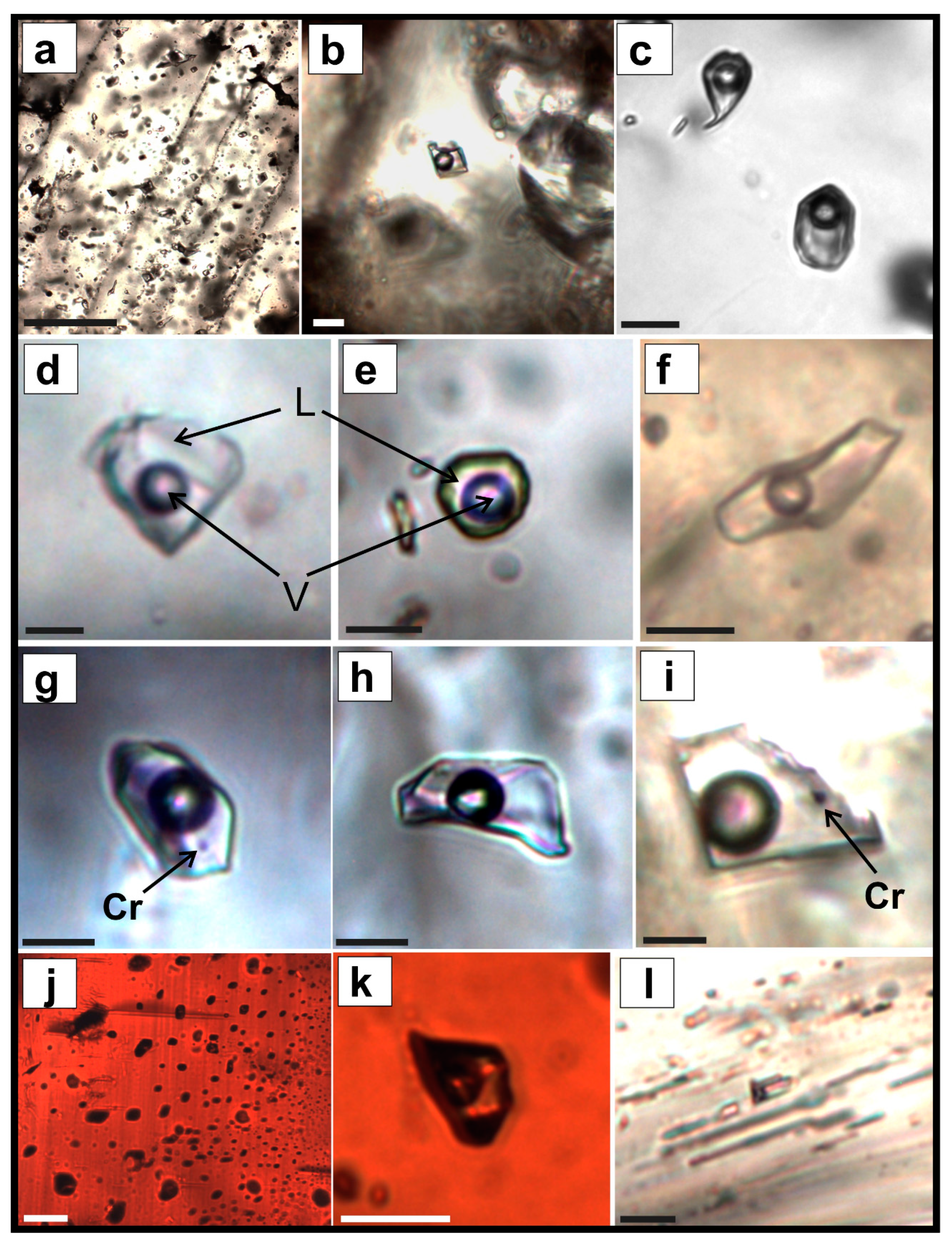 Minerals 11 00725 g005 550