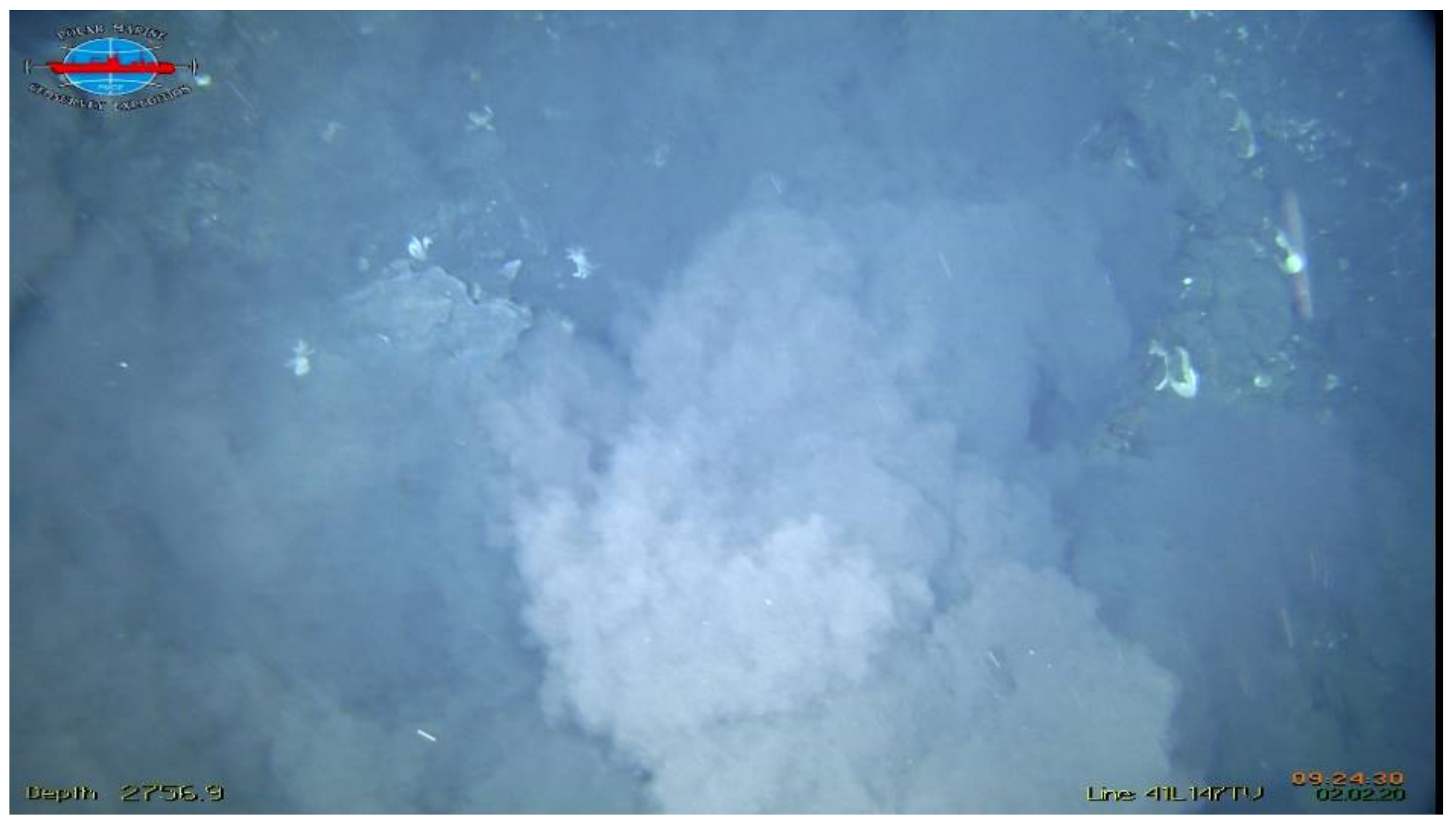 Minerals 11 00726 g011