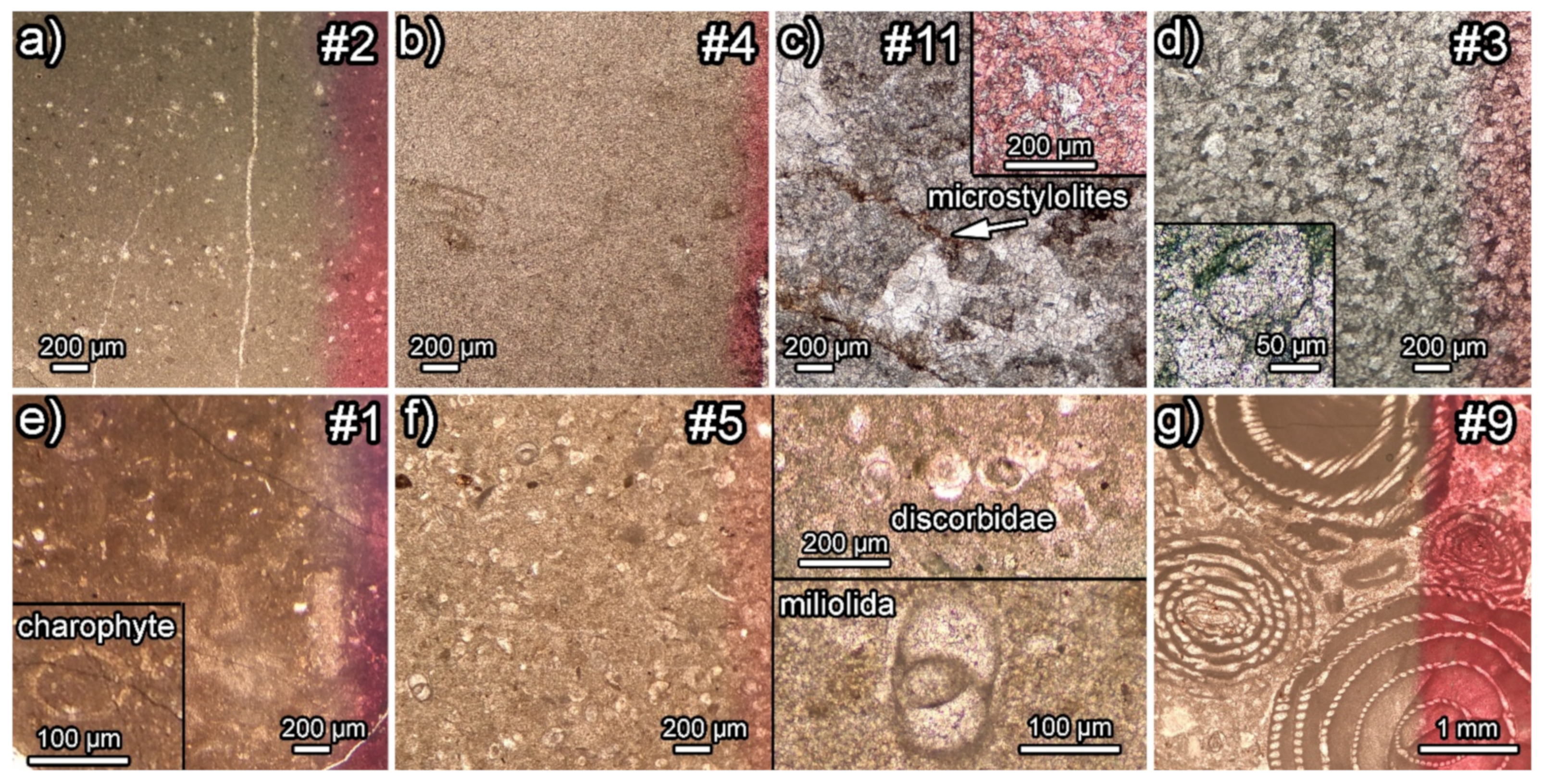 Minerals 11 00746 g002