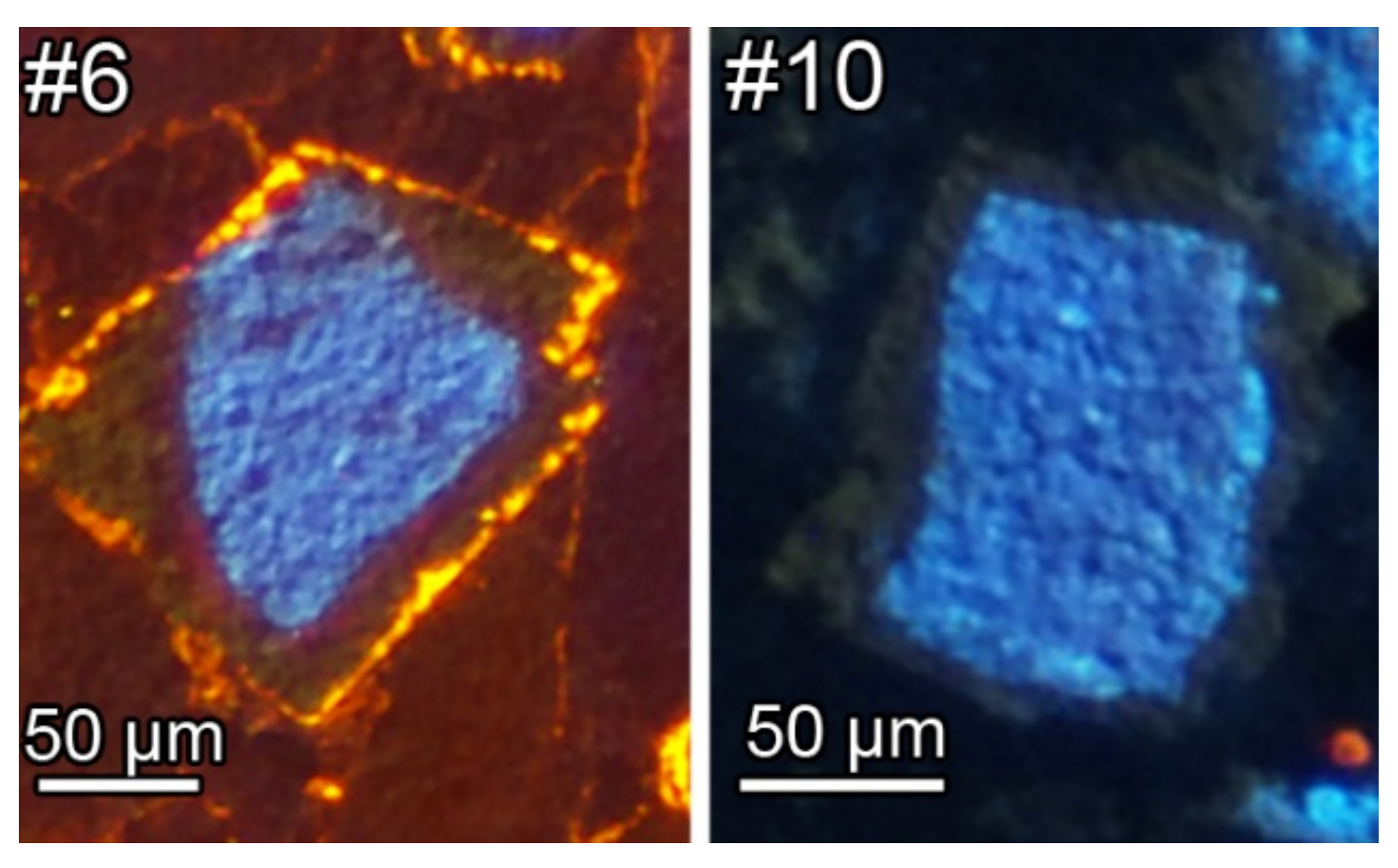 Minerals 11 00746 g005