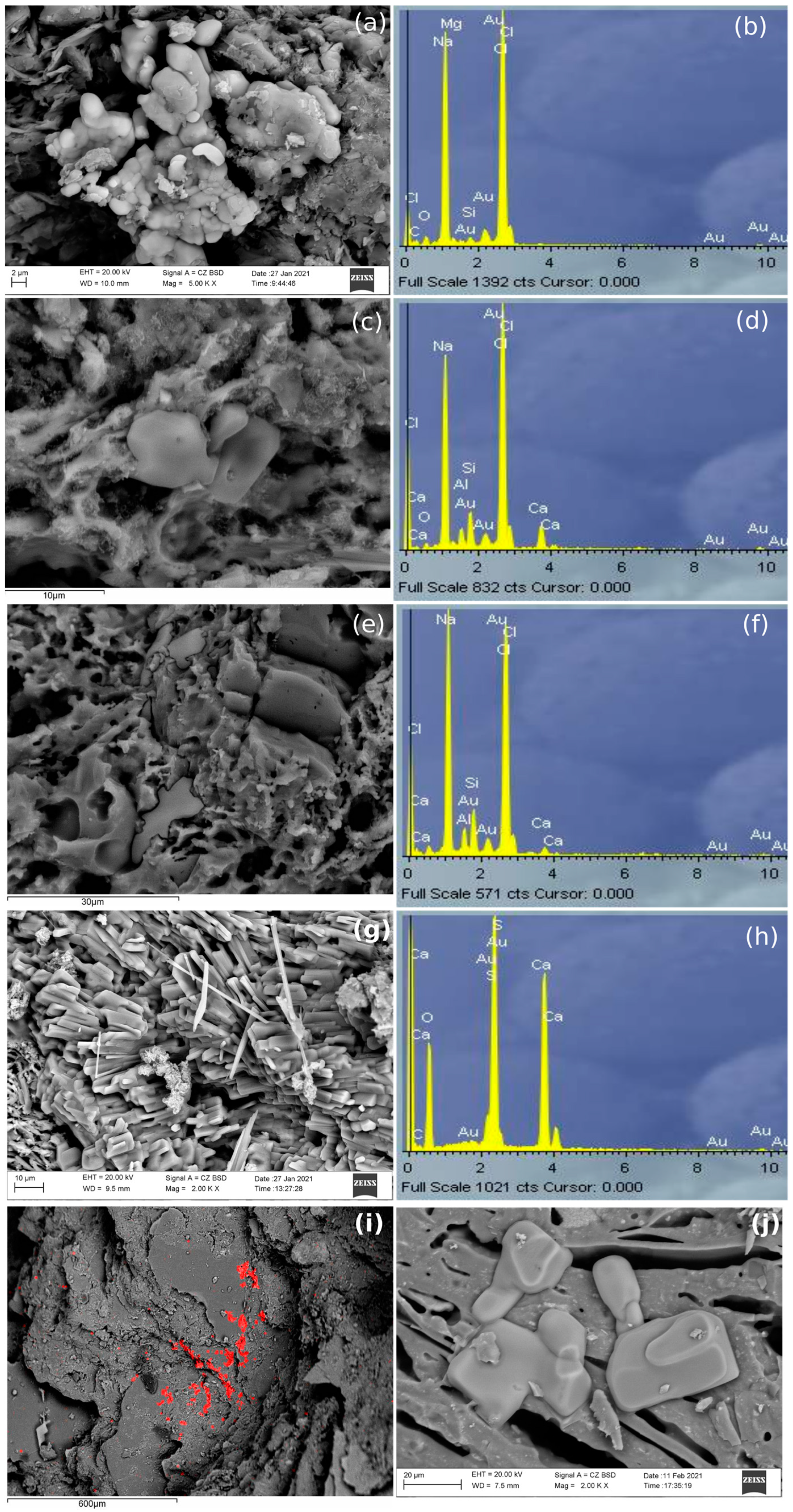 Minerals 11 00766 g006 550