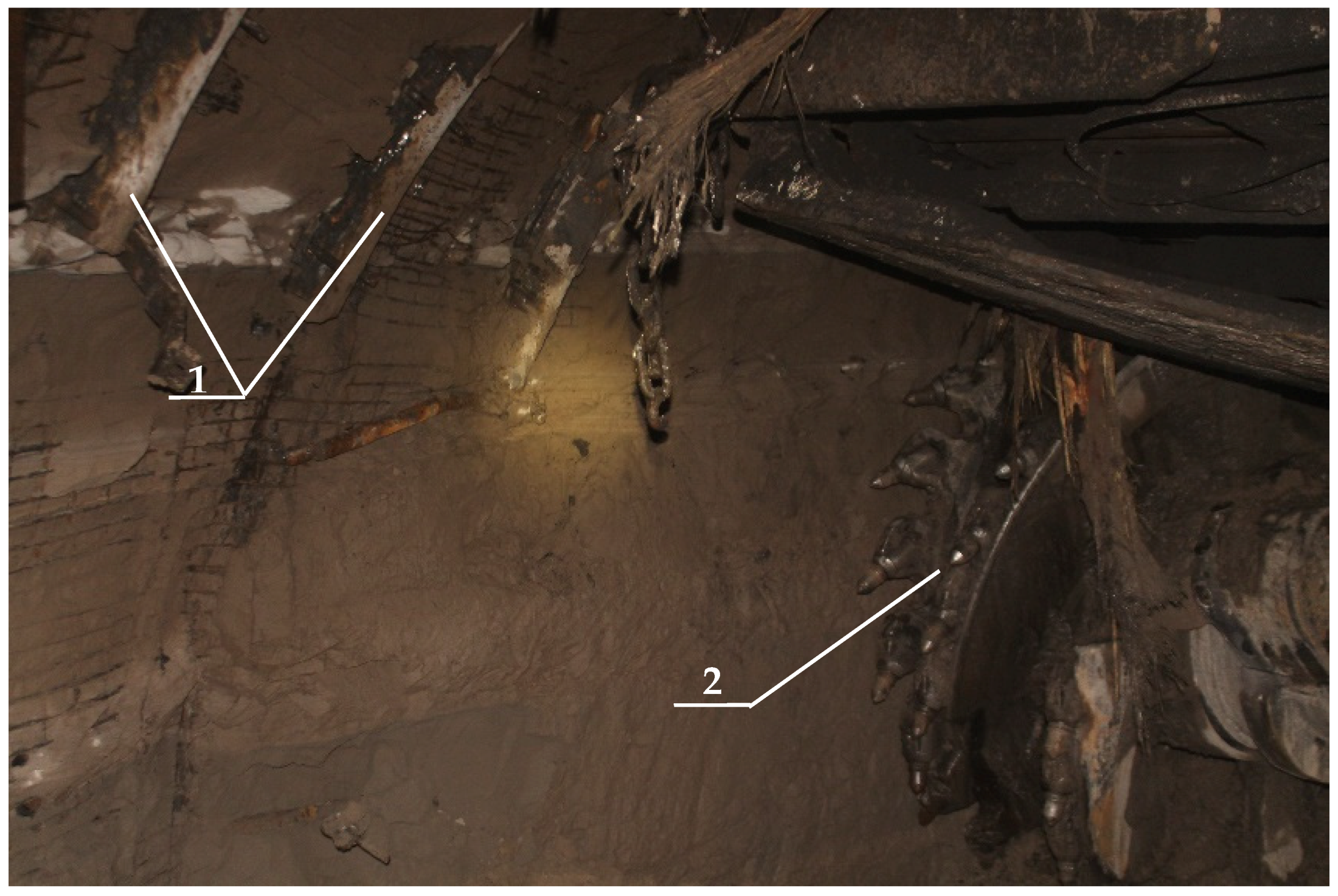 Minerals 11 00770 g005