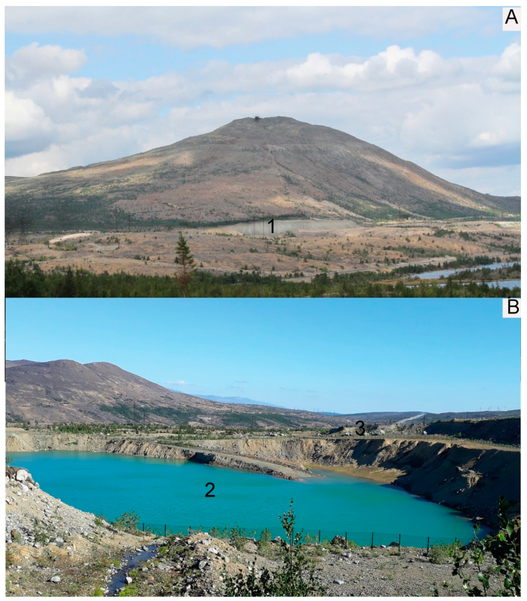 Minerals 11 00772 g001 Minerals 11 00772 g001