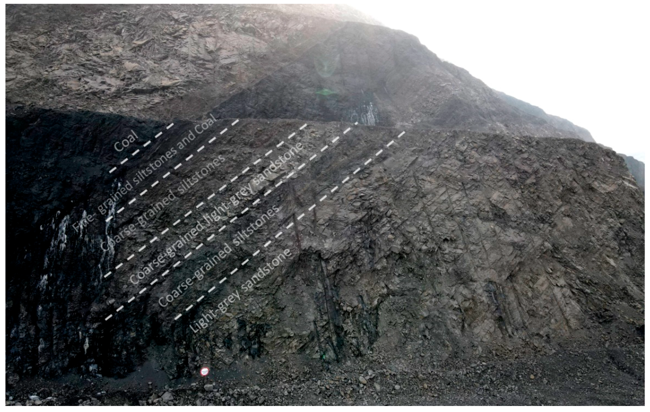 Minerals 11 00798 g007 550