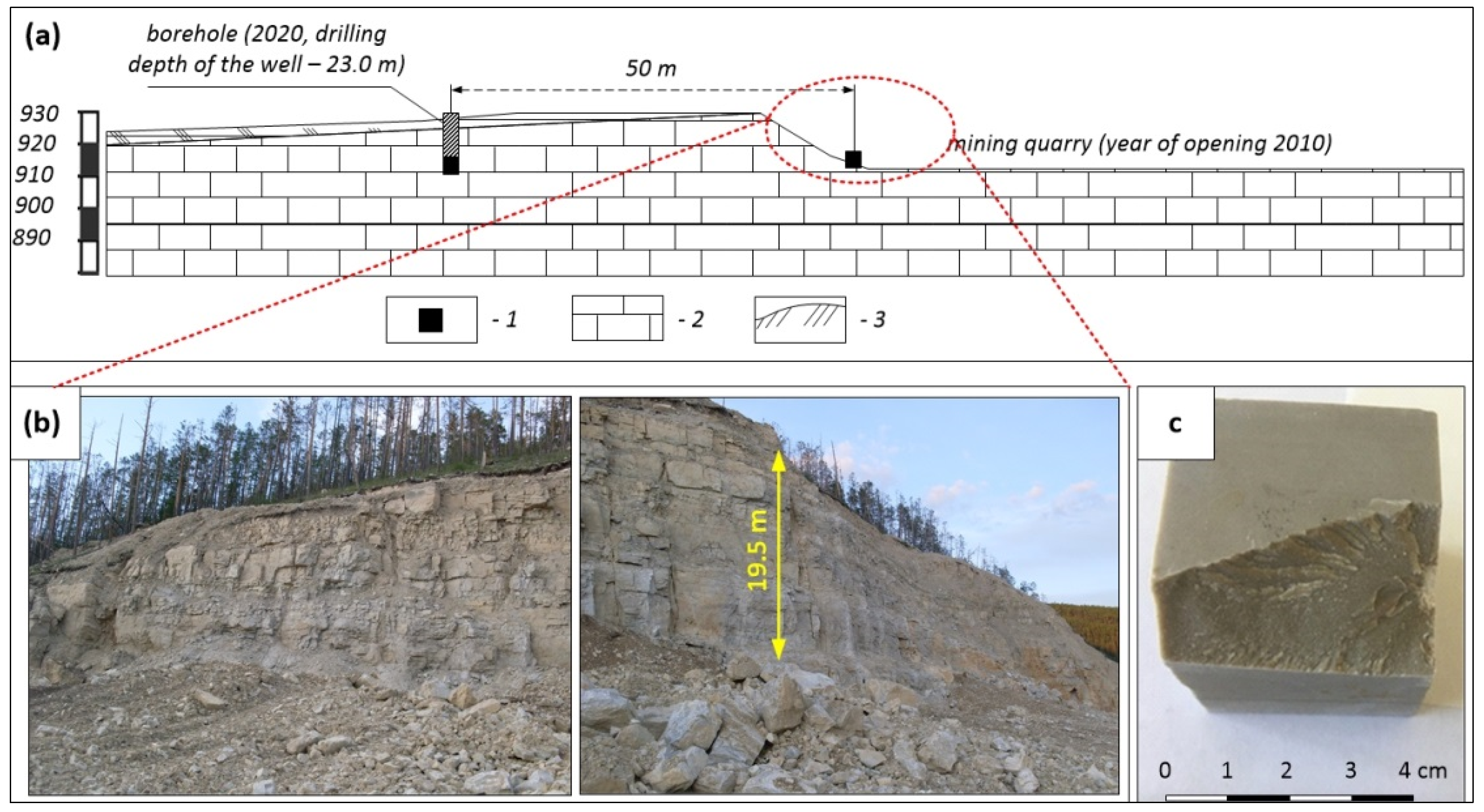 Minerals 11 00800 g002 550