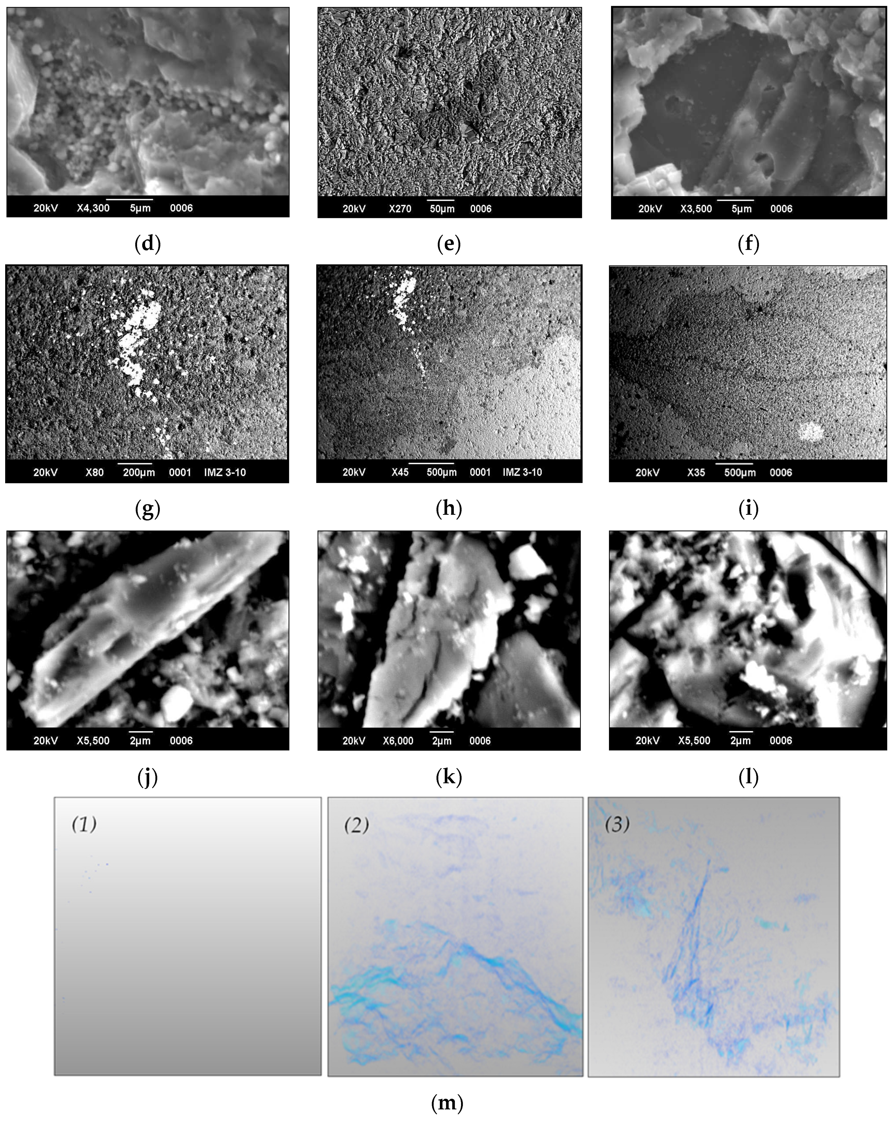 Minerals 11 00800 g005b 550
