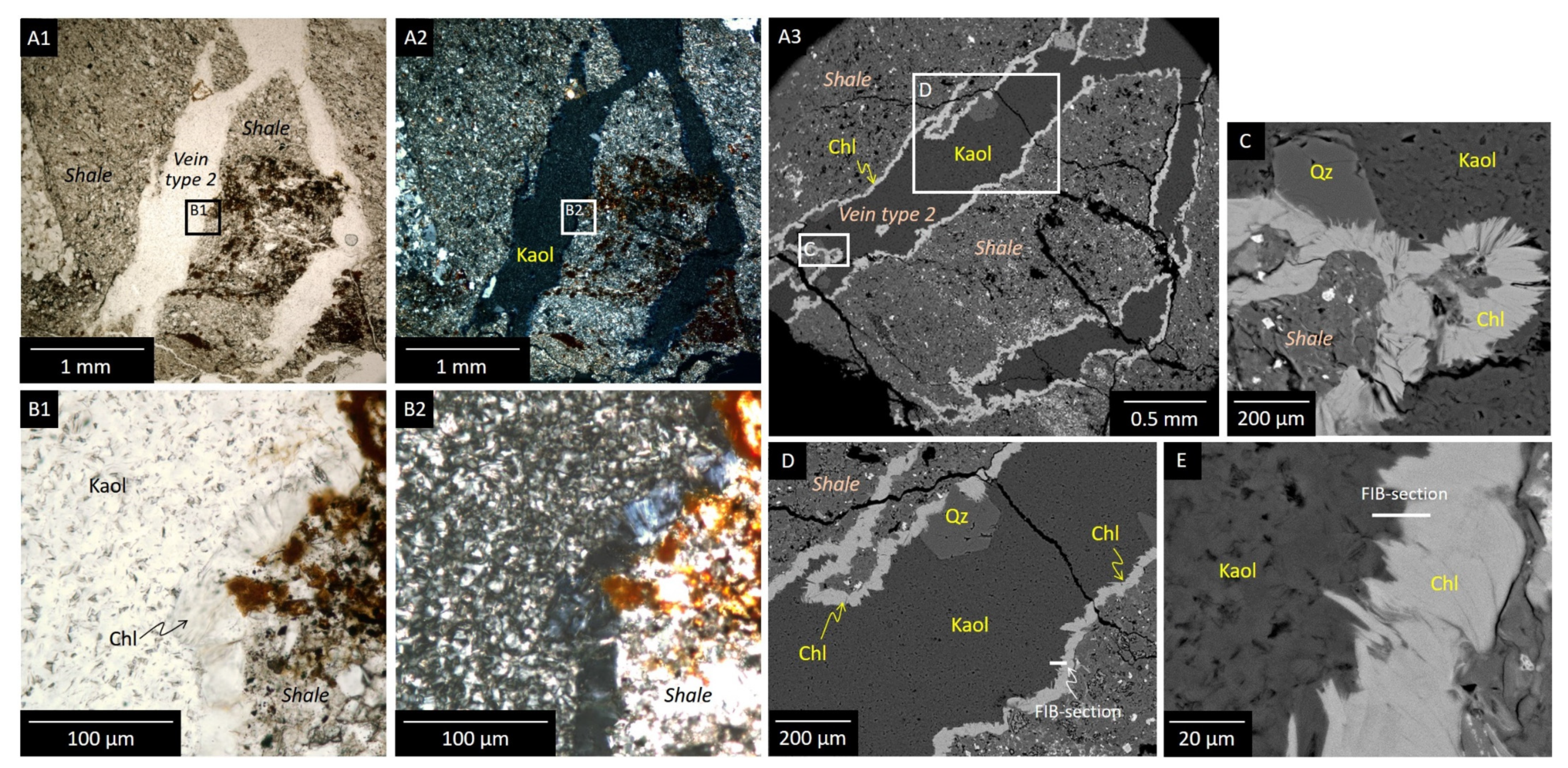 Minerals 11 00804 g004