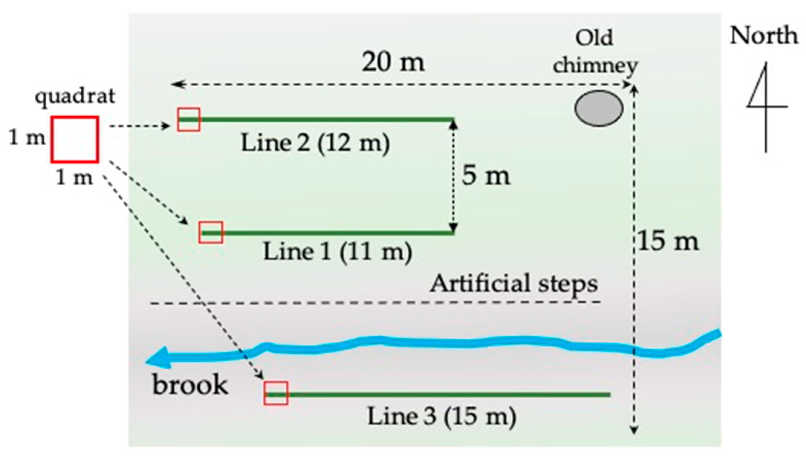 Minerals 11 00806 g001 550