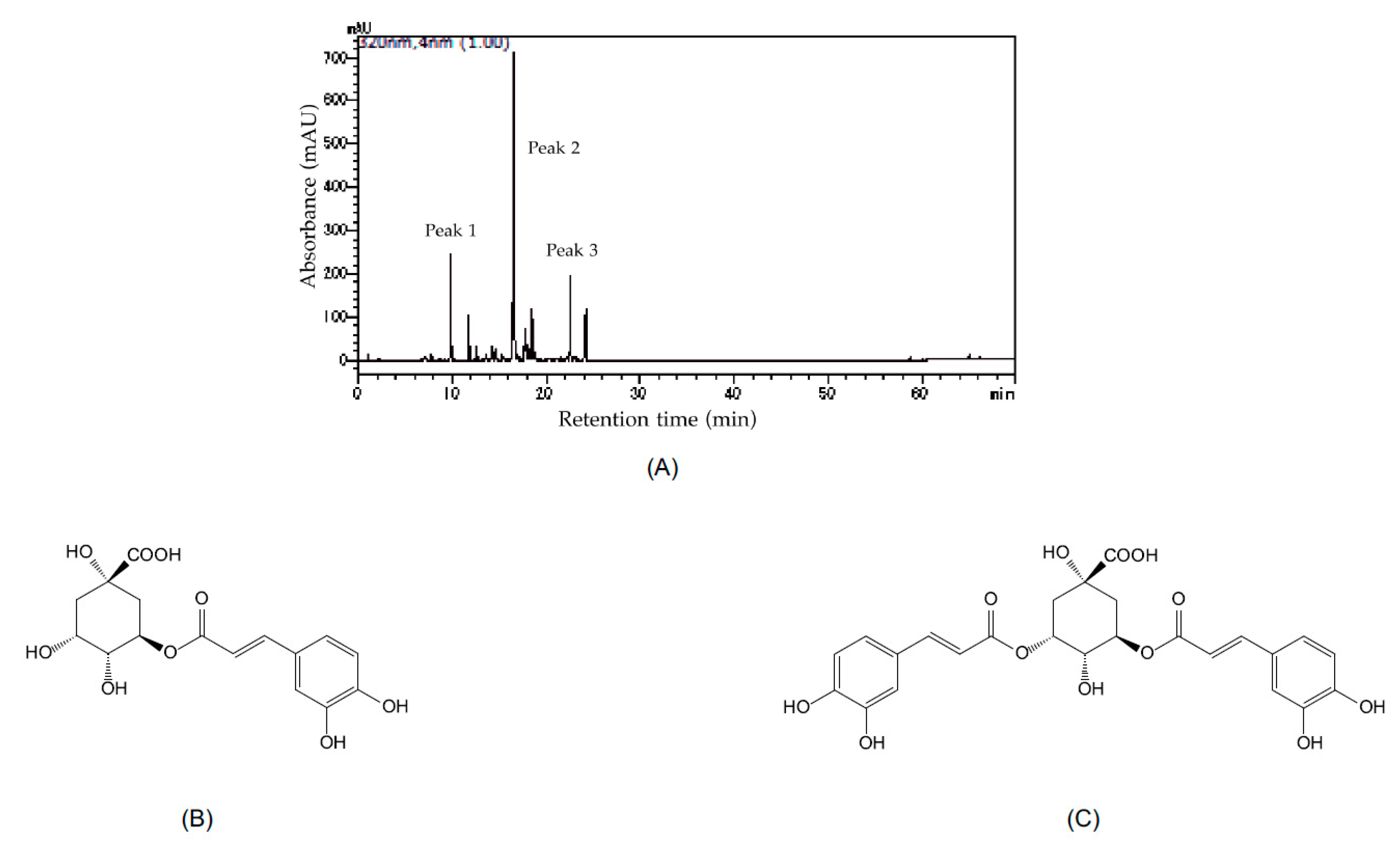 Minerals 11 00806 g003 550