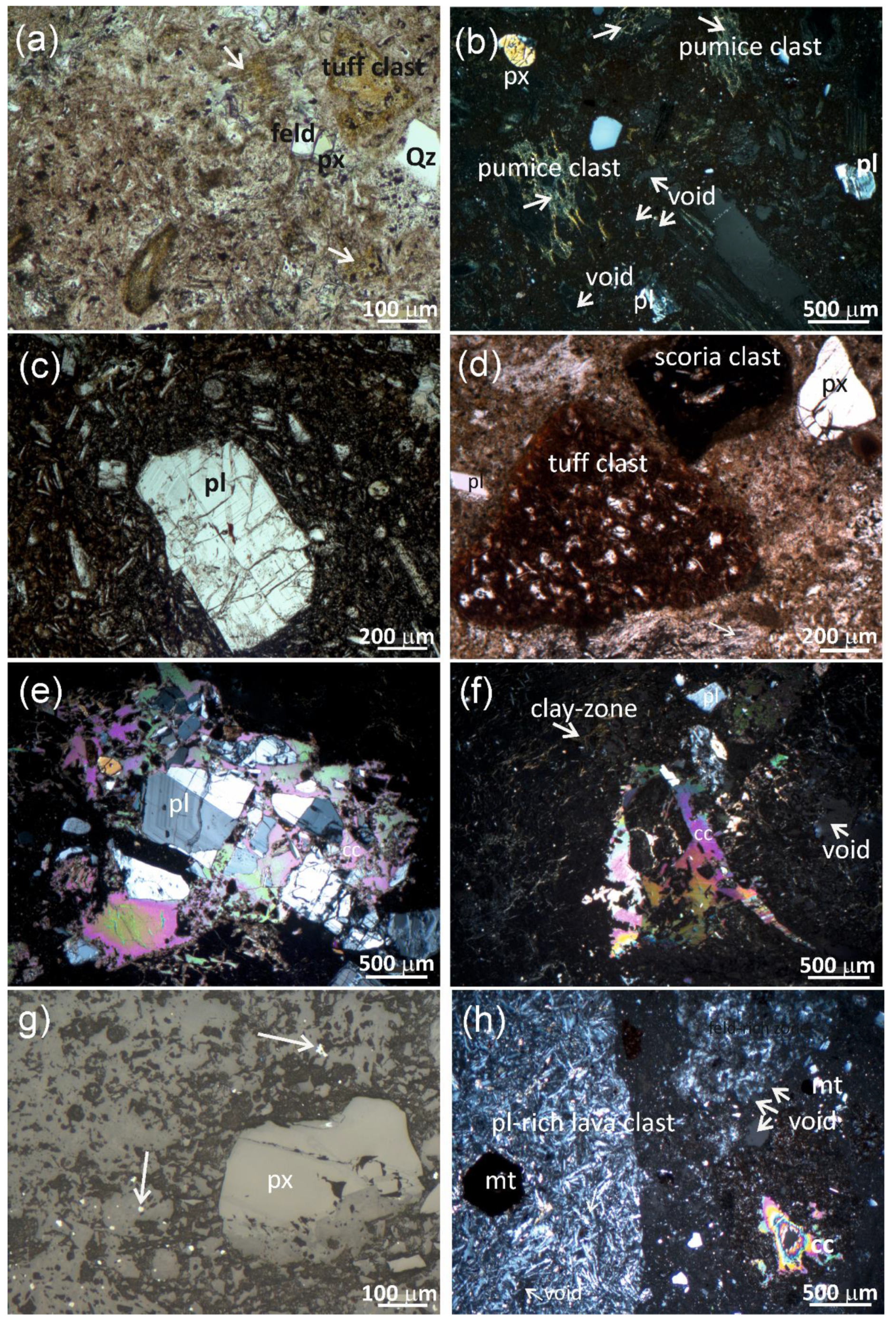 Minerals 11 00810 g003