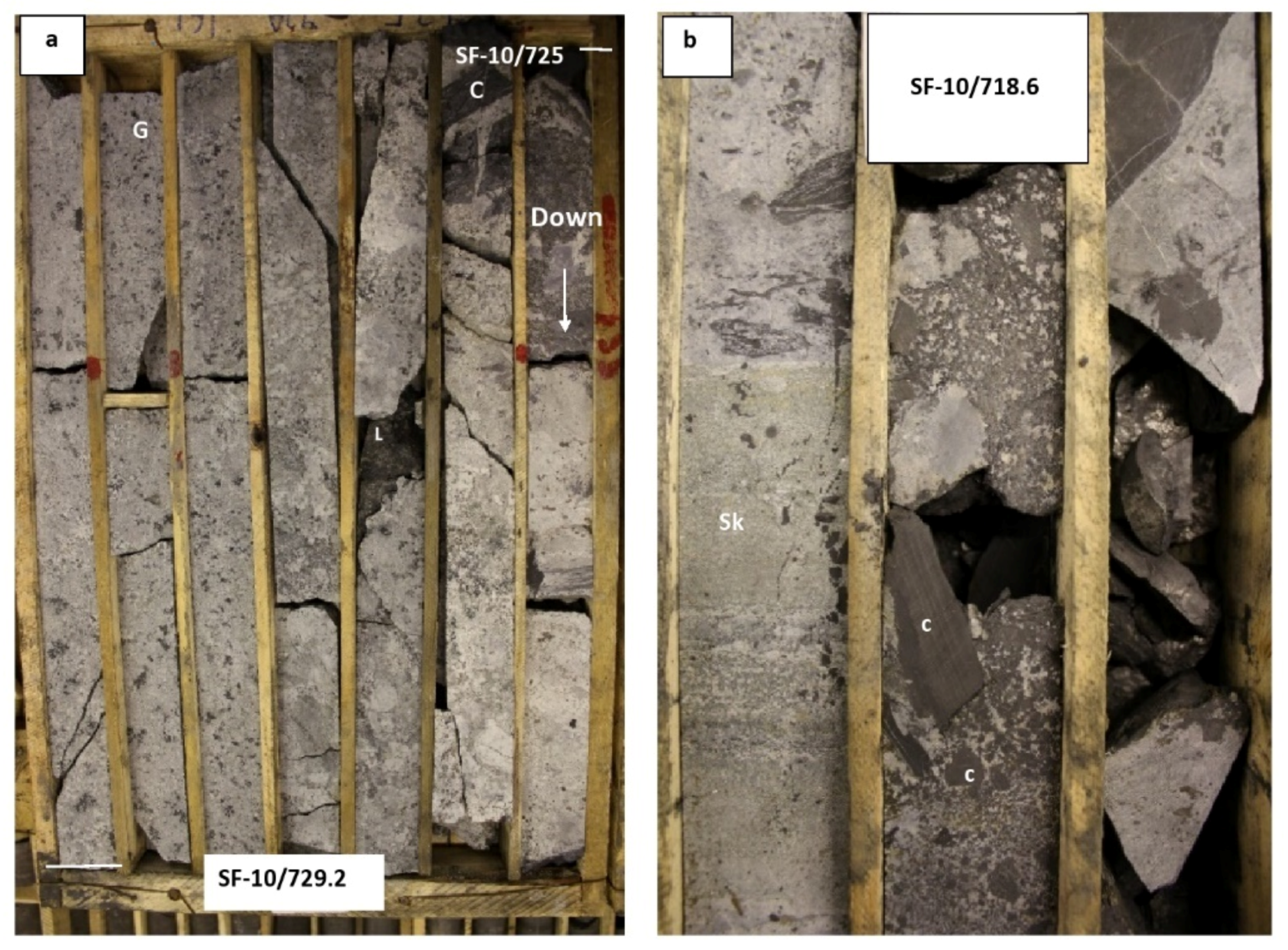 Minerals 11 00819 g015