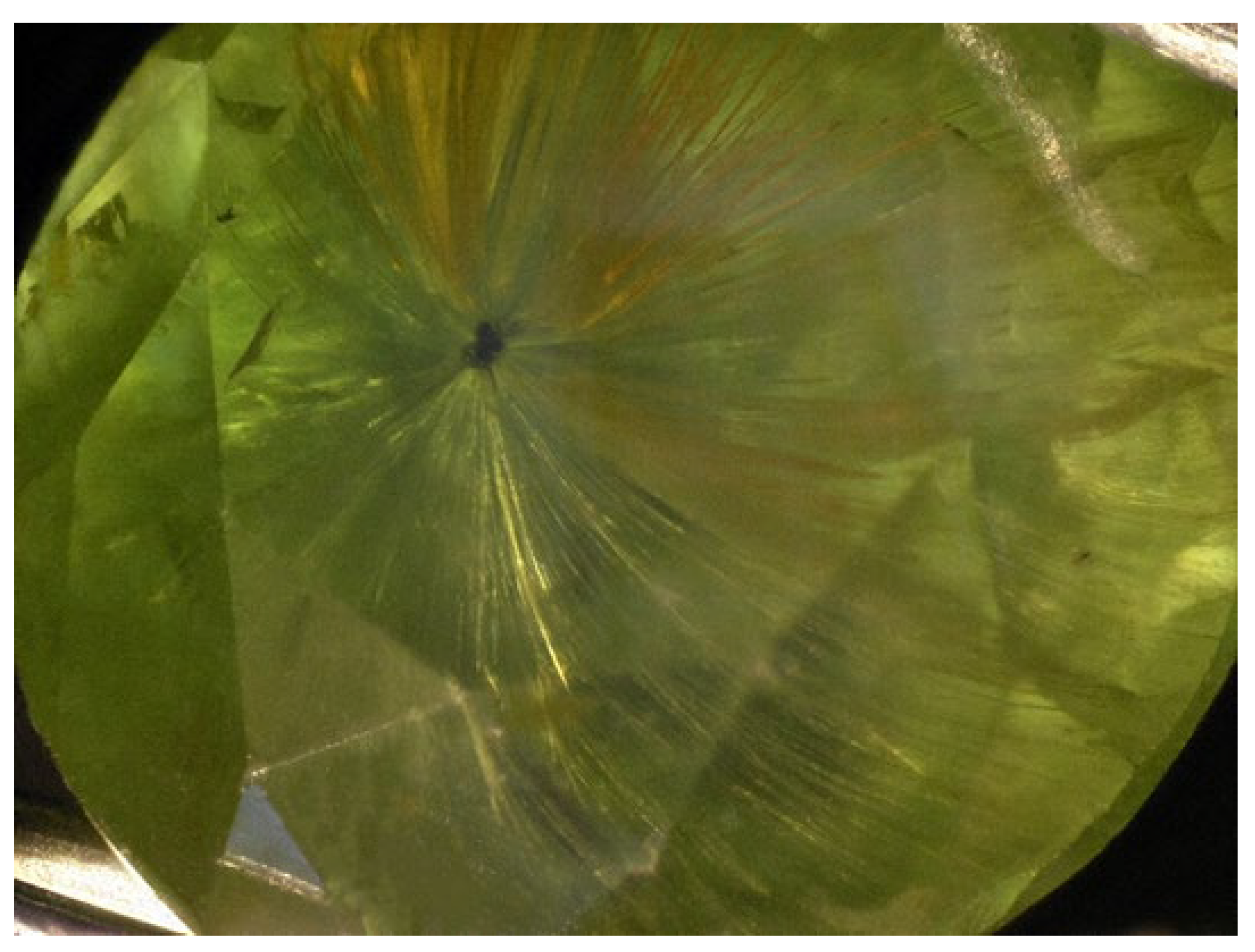 Minerals 11 00825 g002 550