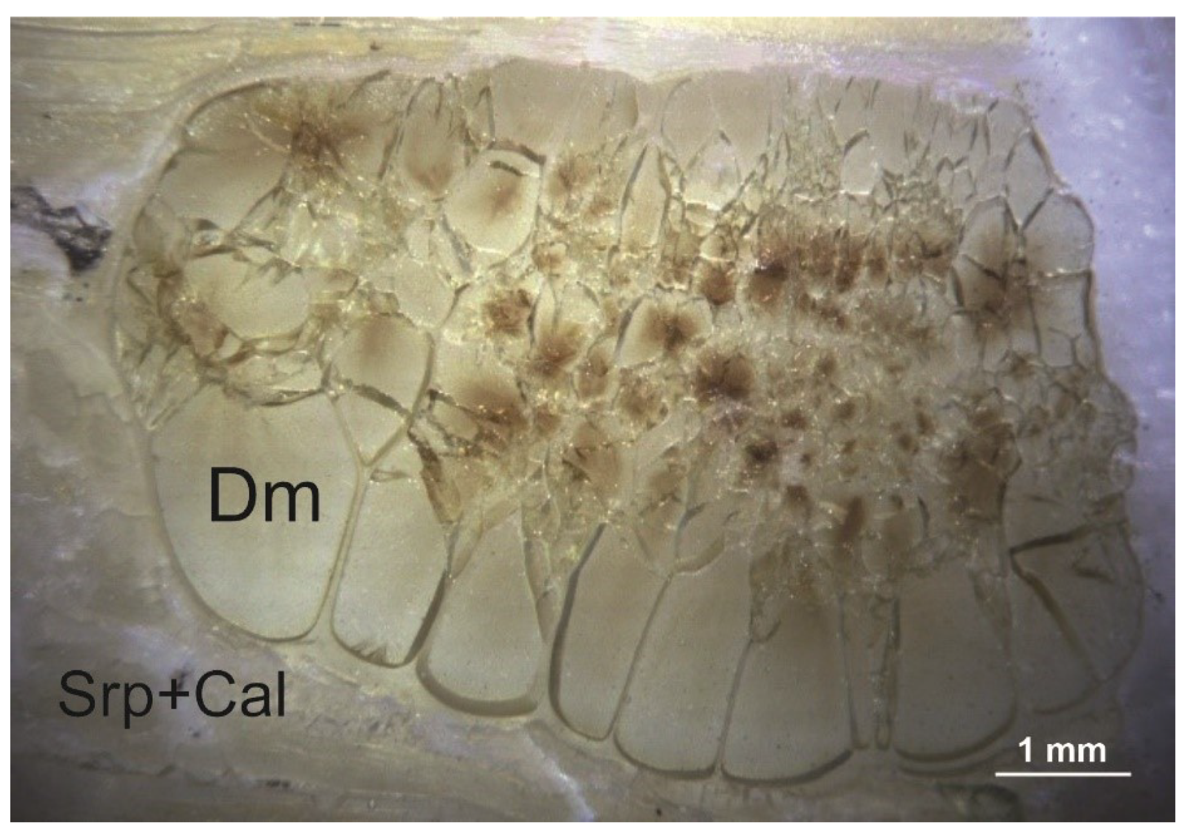 Minerals 11 00825 g003 550