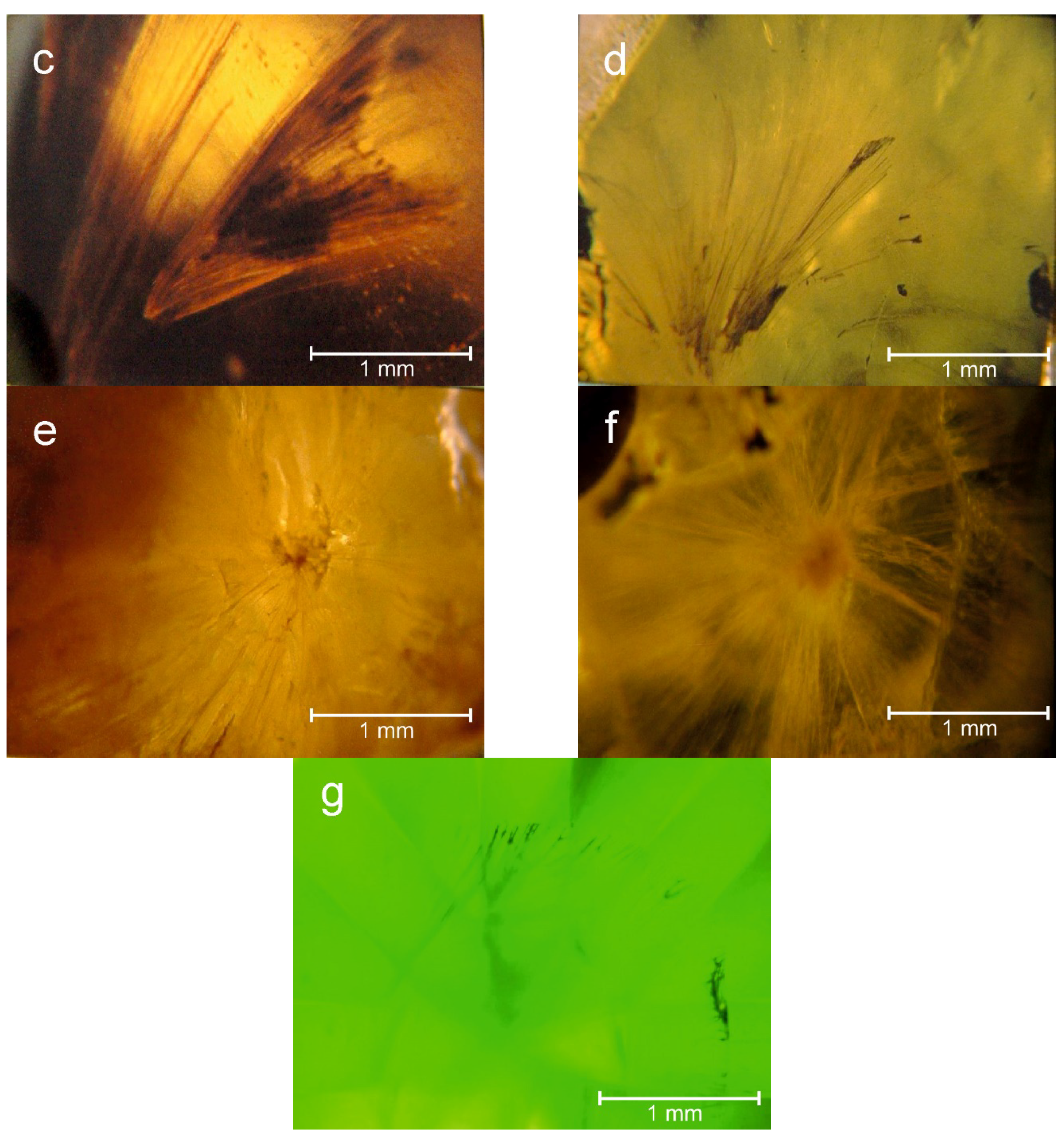 Minerals 11 00825 g007b 550