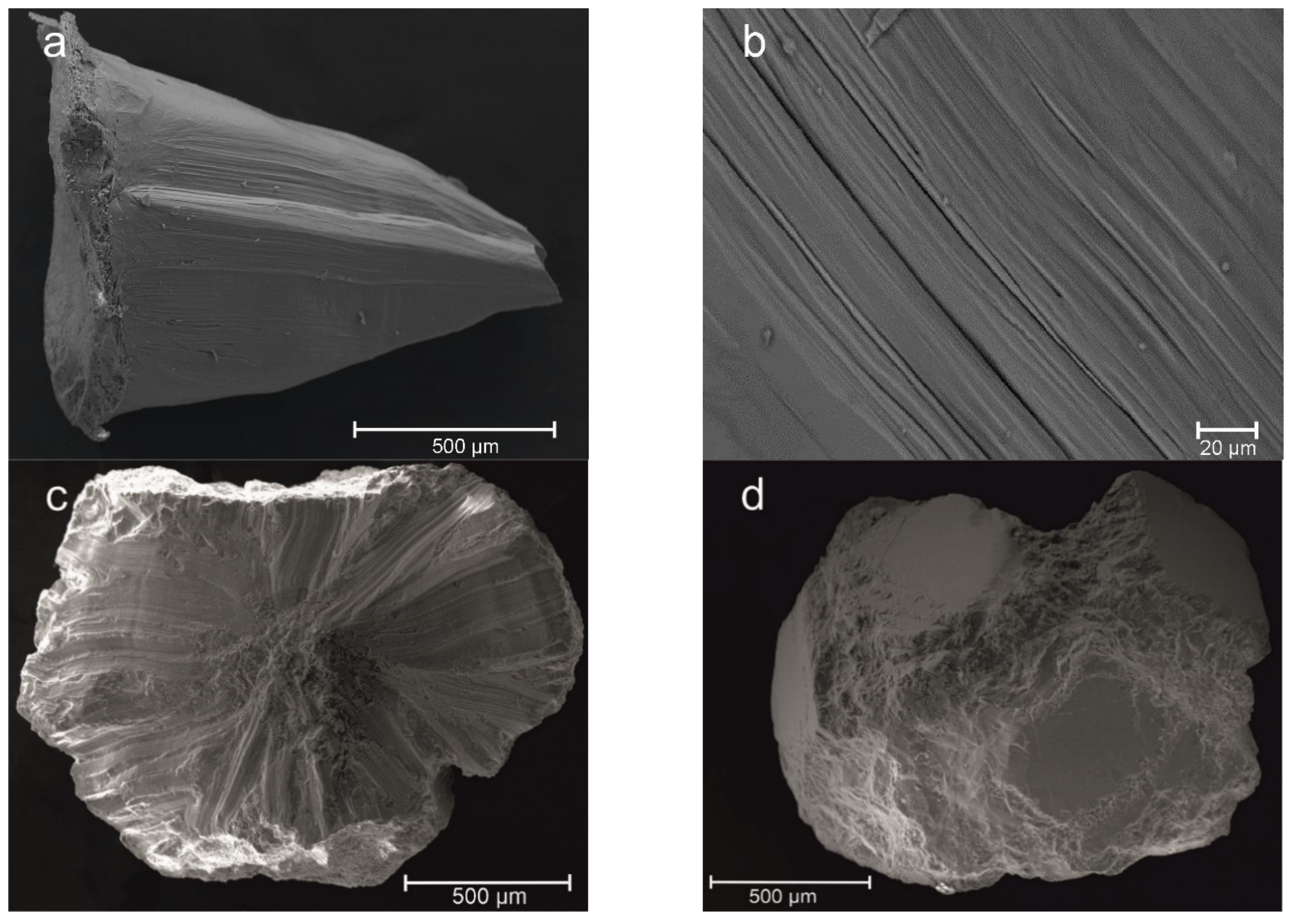 Minerals 11 00825 g009 550