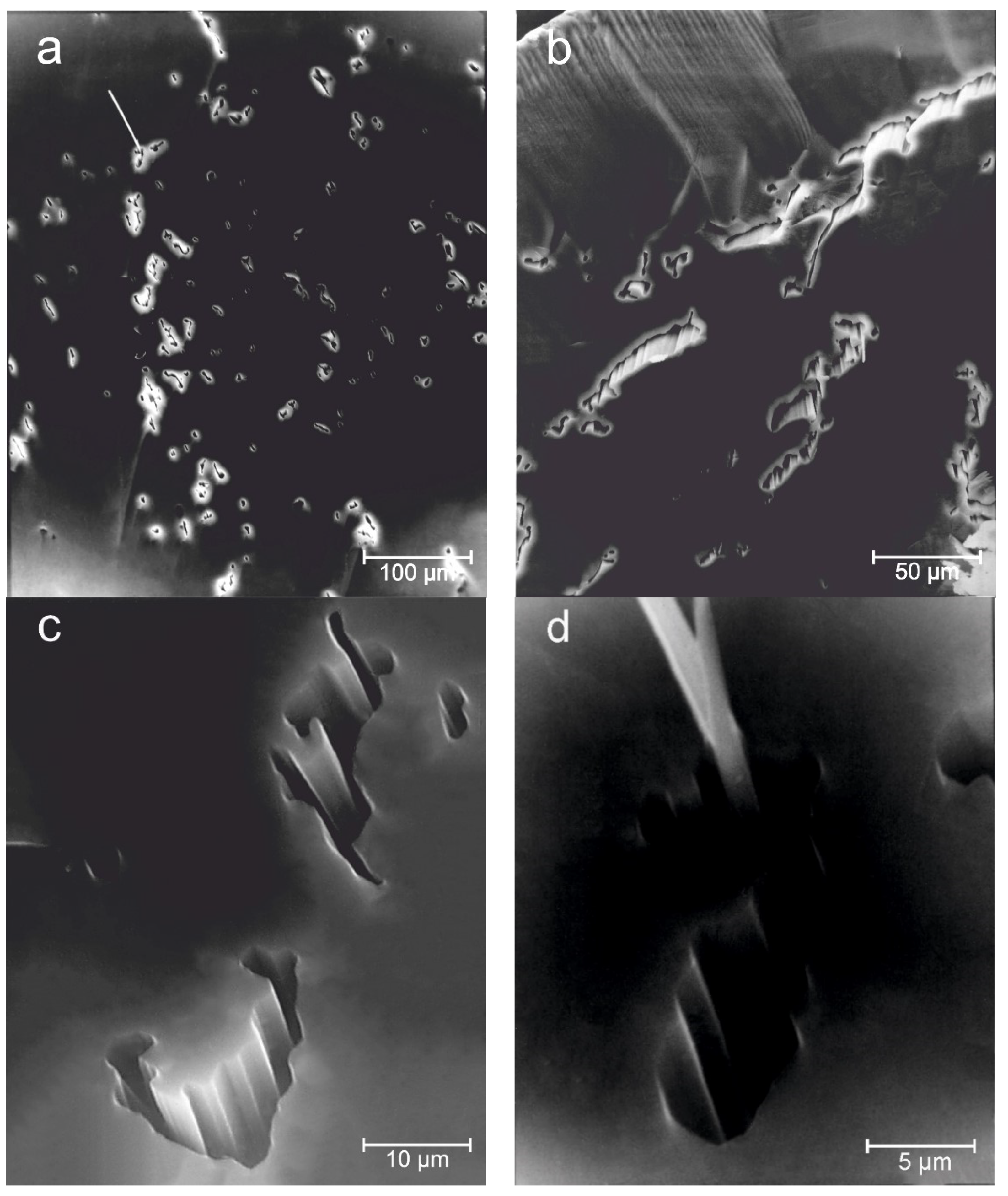 Minerals 11 00825 g010 550