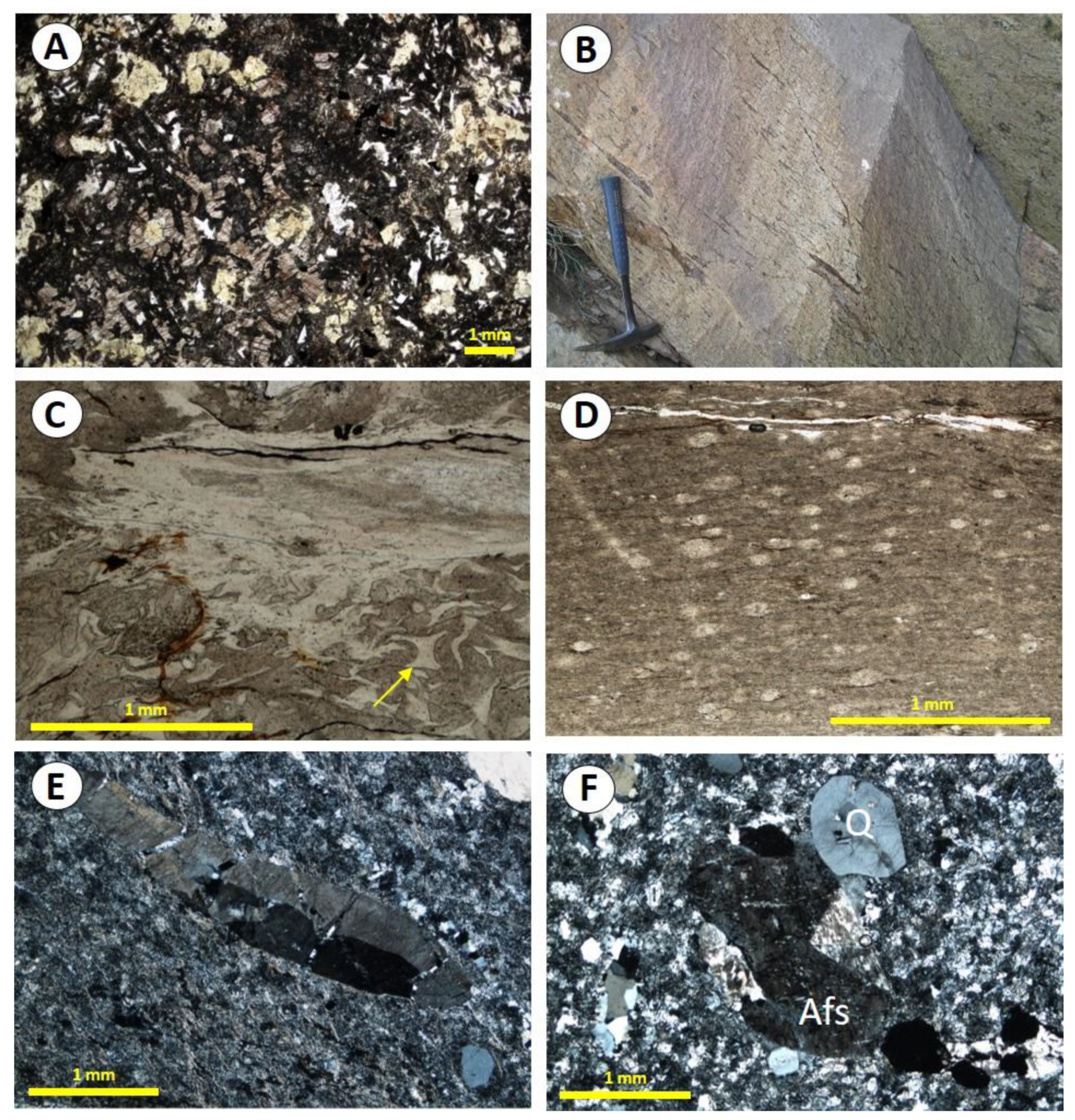 Minerals 11 00826 g003 550