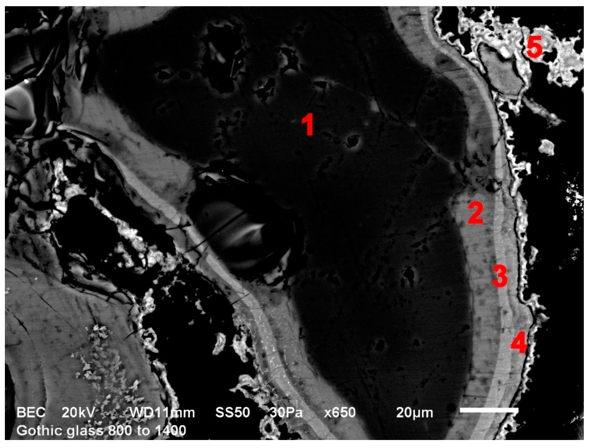 Minerals 11 00829 g004 550