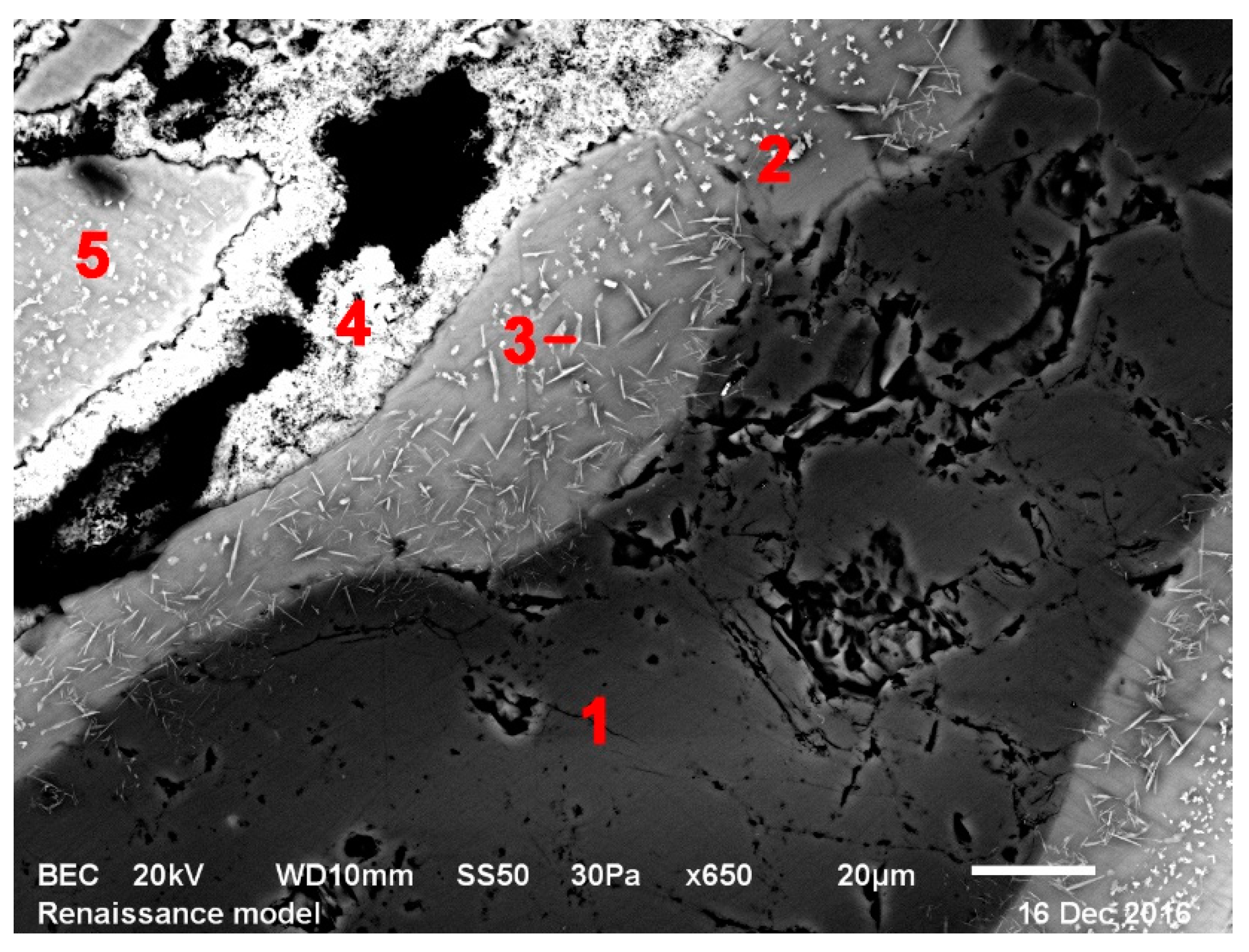Minerals 11 00829 g005 550